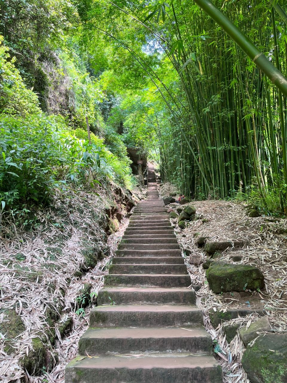 大邑药师岩风景区图片