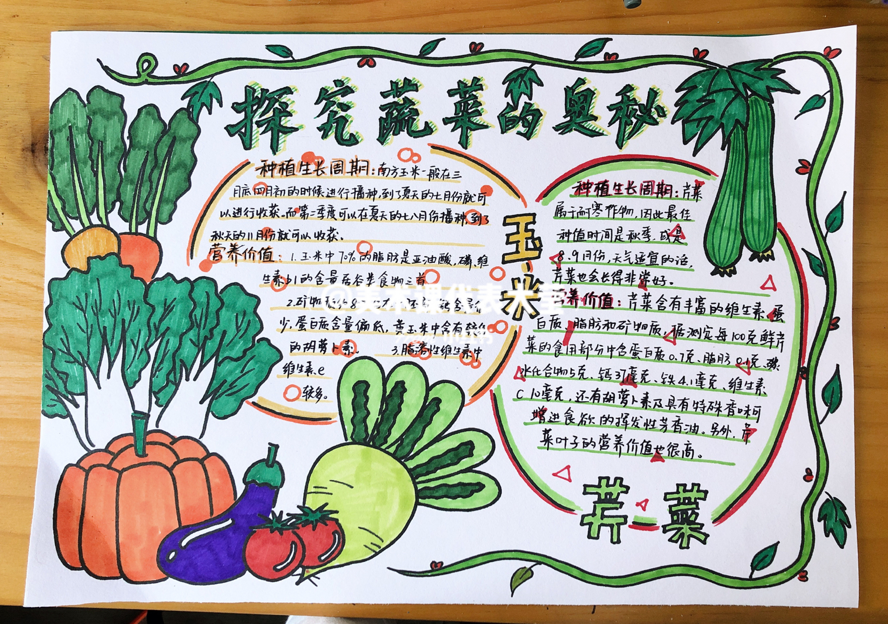 蔬菜种植知识手抄报图片