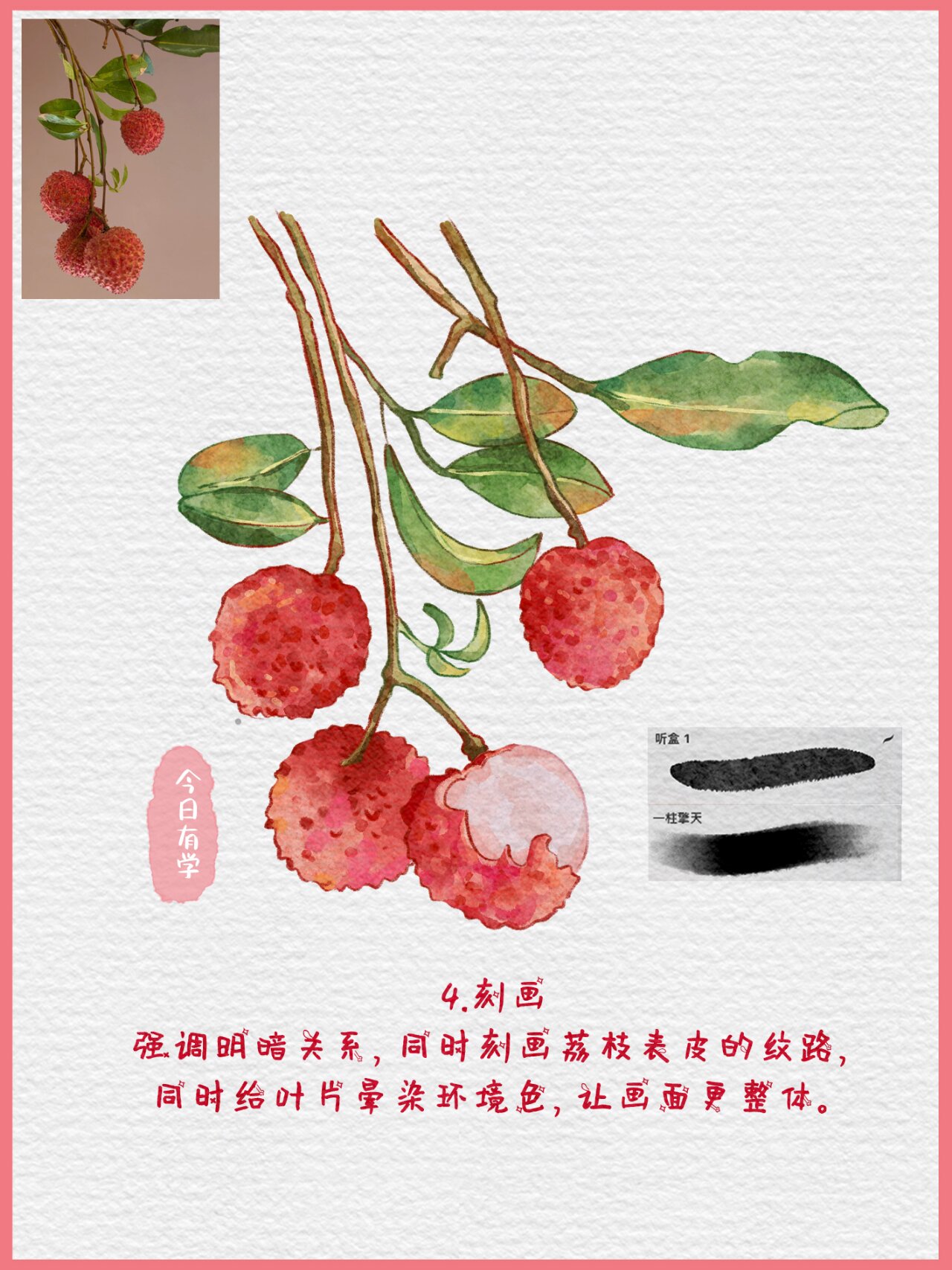 荔枝图文版 最后一张图片为水彩纸纹,需要可以自取 画画步骤 1