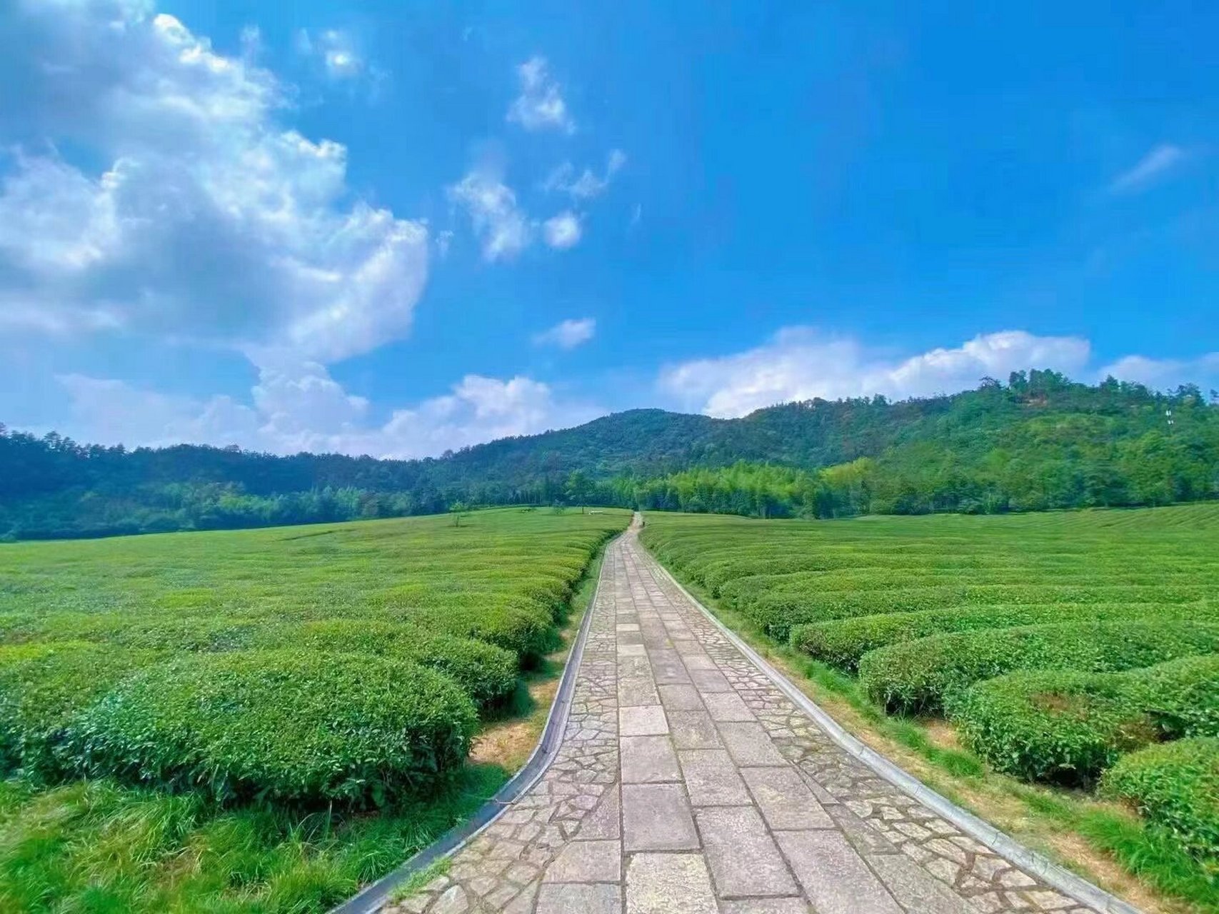 泰康仙鹤湖湿地公园&人文纪念园一日游 每周末仙鹤湖一日游活动,想去