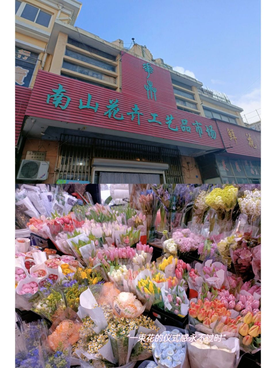 周末去南山花卉市场买了花花 93郁金香都是10支一束,9025-45￥不