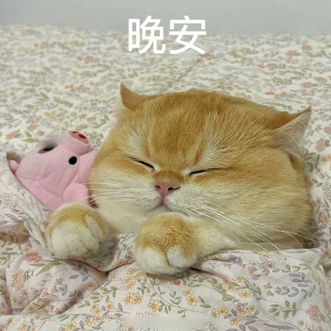 假期结束的第一天你过的怎么样呀,评论区用三个表情包总结一下吧 晚安