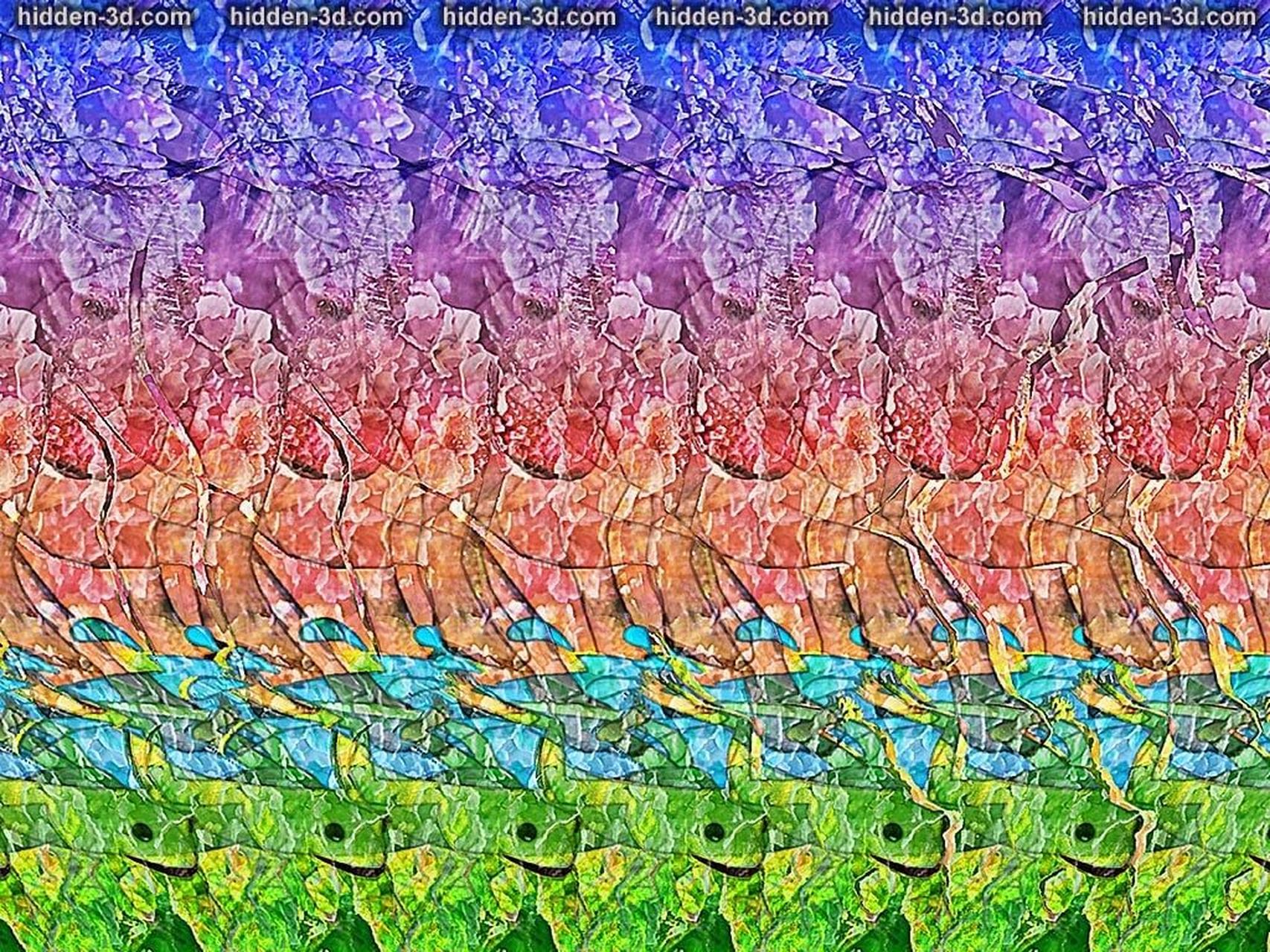 立体隐藏图分享