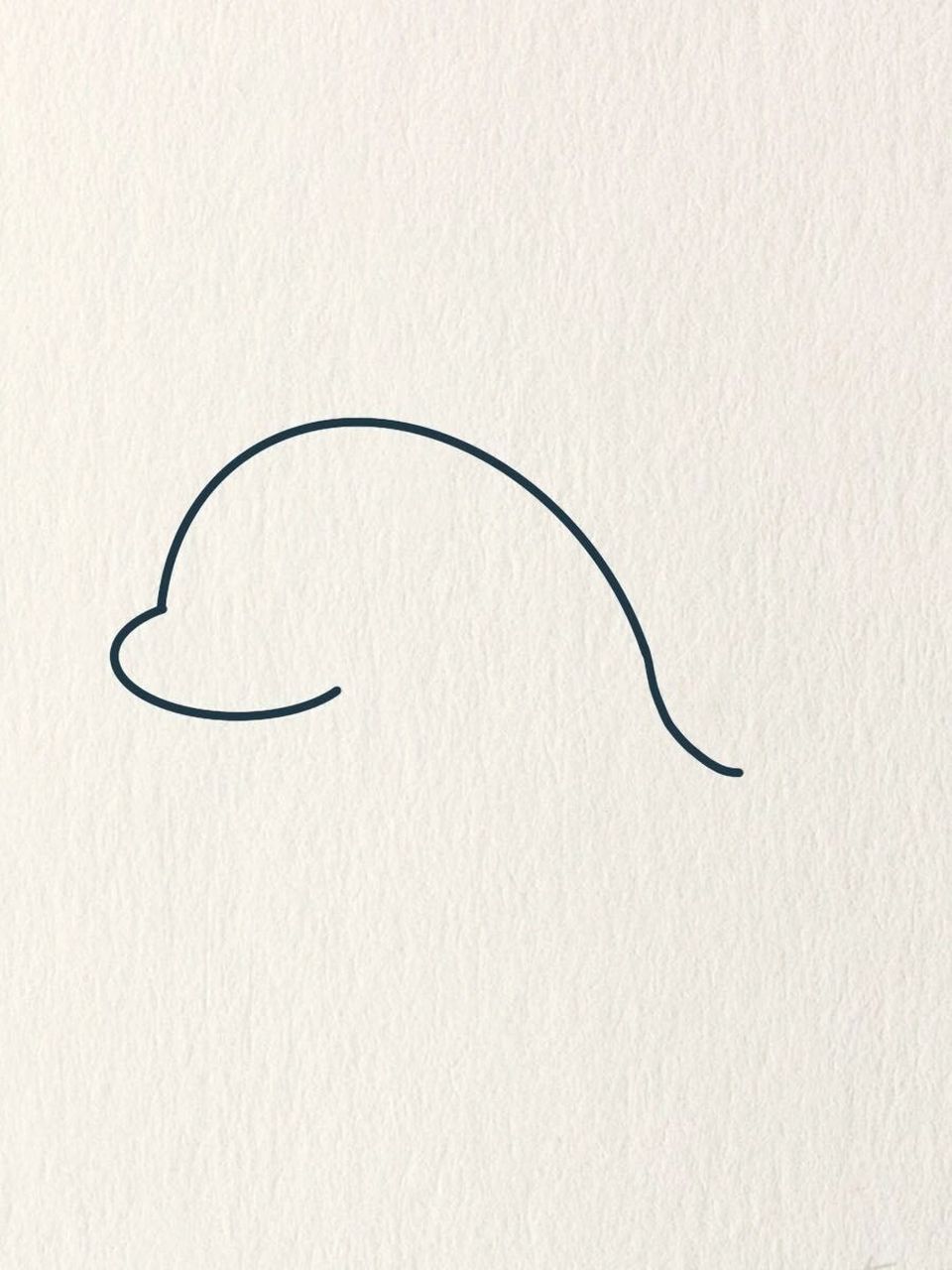 小海豚简笔画简单图片