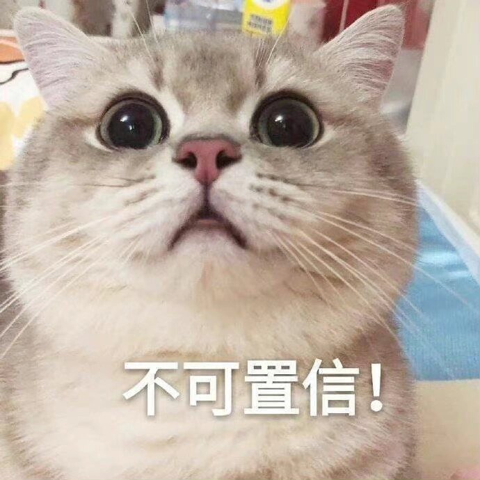 可爱小猫咪表情包第11集✅
