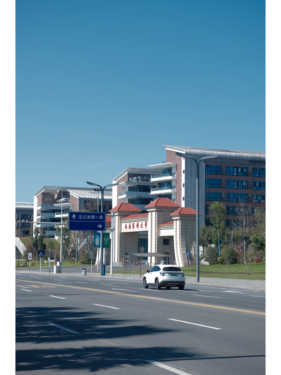 泸州|西南医科大学 当慵懒的蓝遇见活泼的绿和忙碌的人们泸州