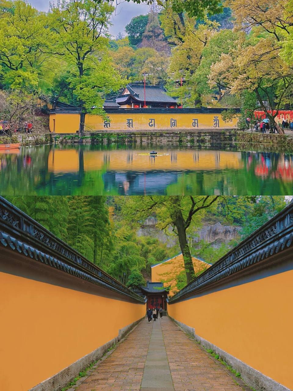 新昌大佛寺| 徒步拜佛逛寺庙7515 继飞盘露营后,寺庙游竟成了年轻