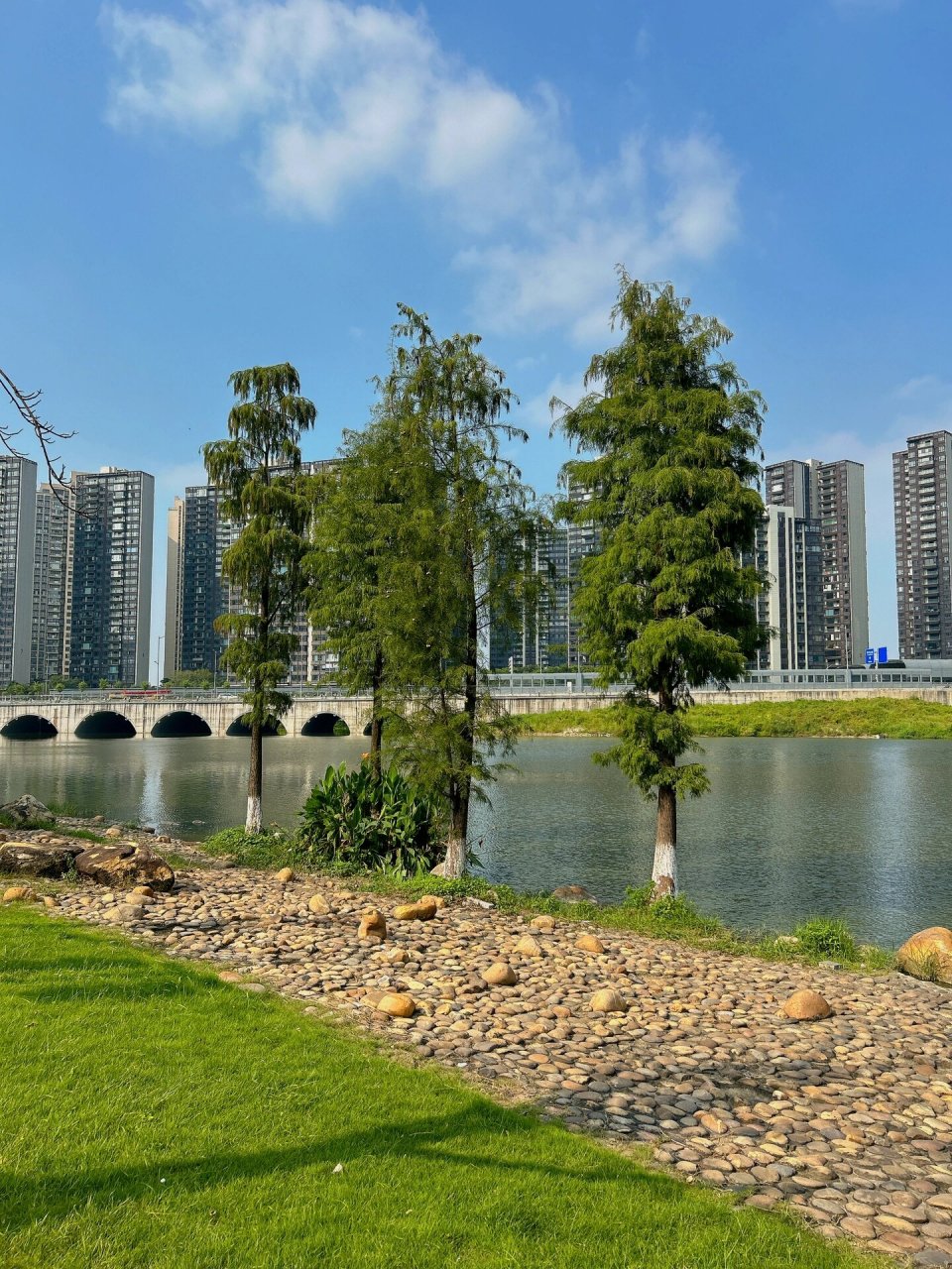 佛山适合遛狗的好地方绿岛湖湿地公园97 秋日 蓝天 绿地 周六 带上