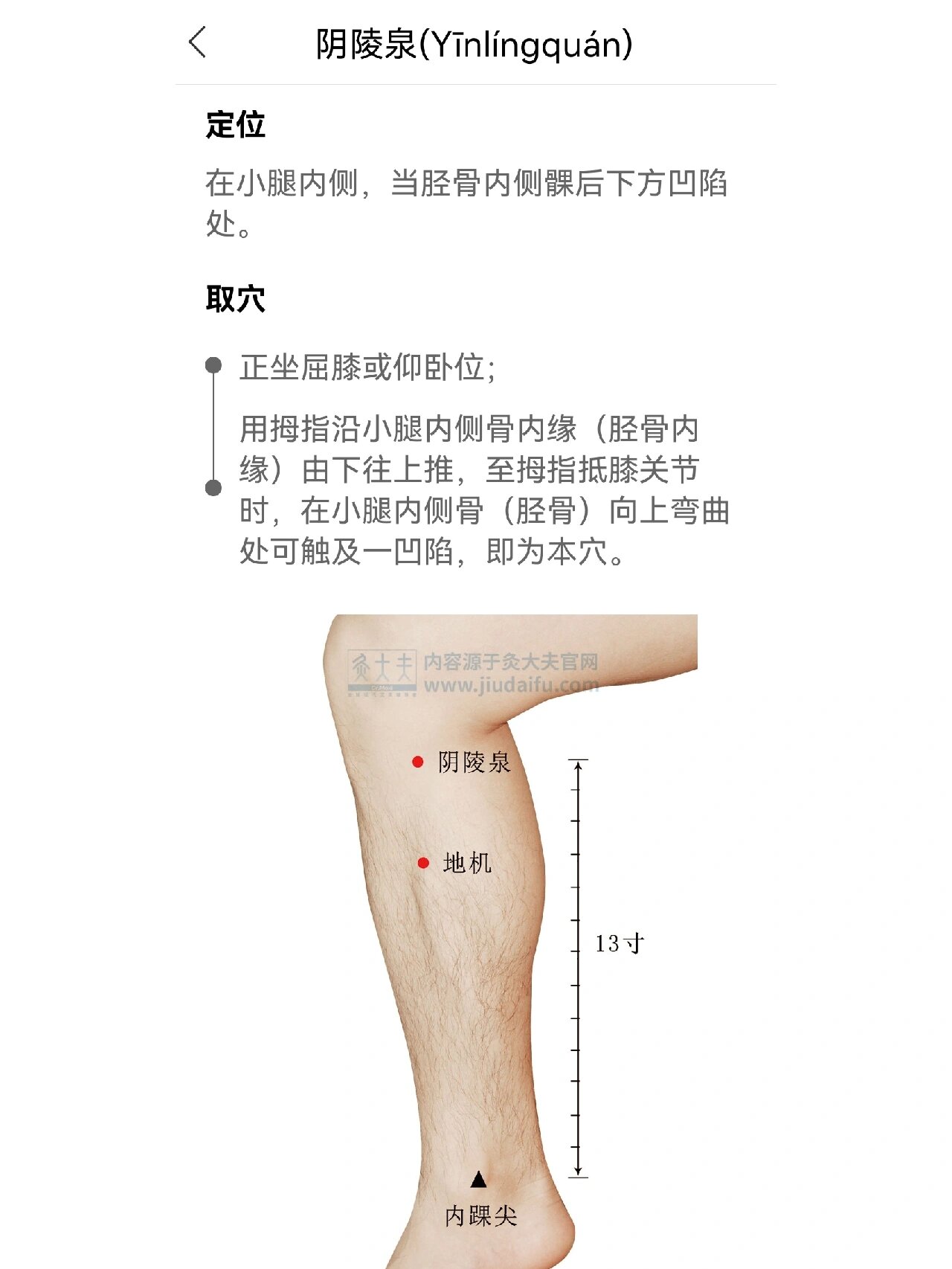 外膝眼主治图片