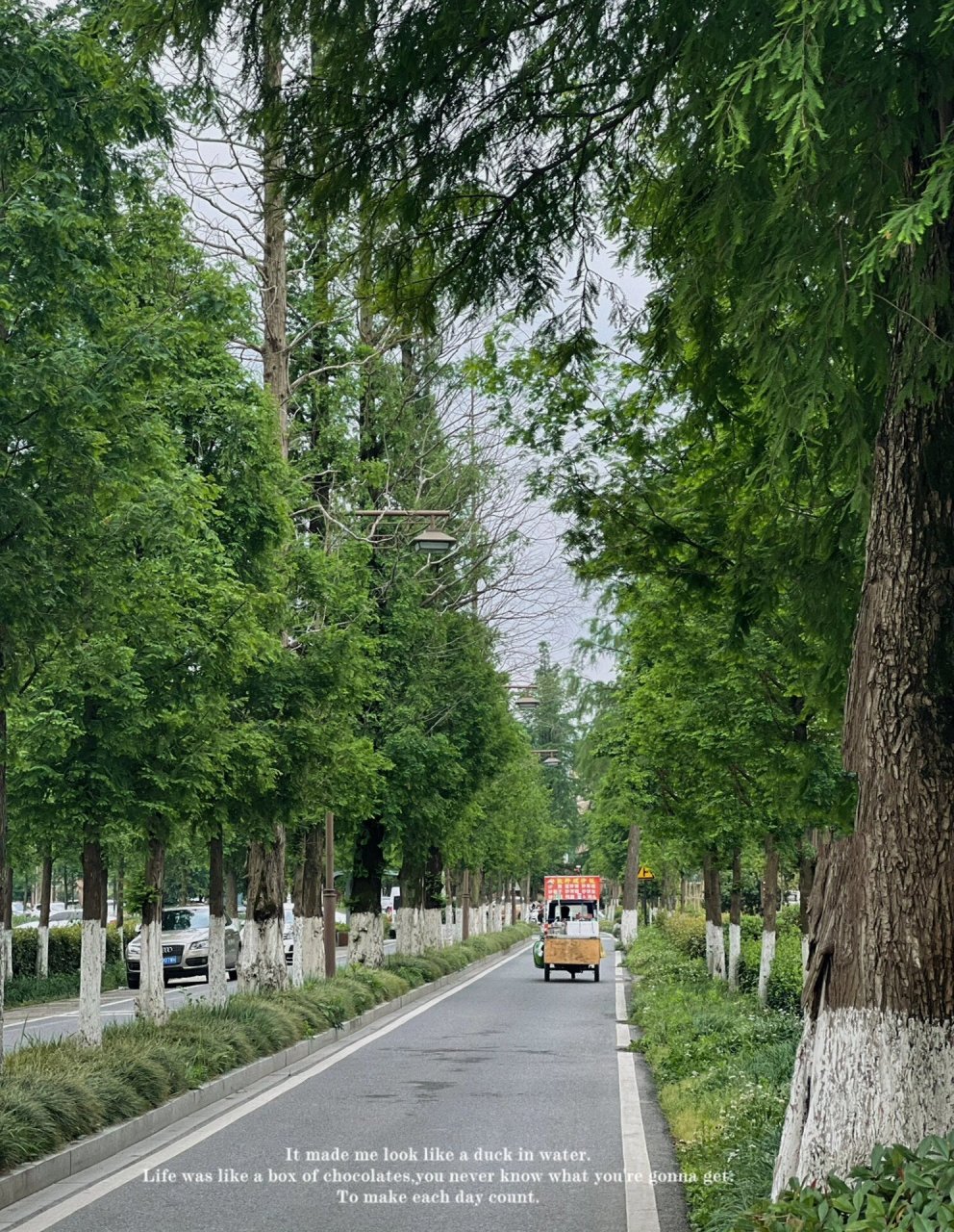 杭州兰里景区图片