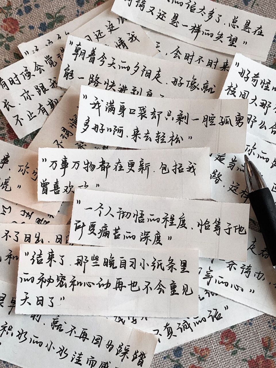 今日文案来自「德卡先生的信箱98」 	 07 我计划着偷走春天,to do