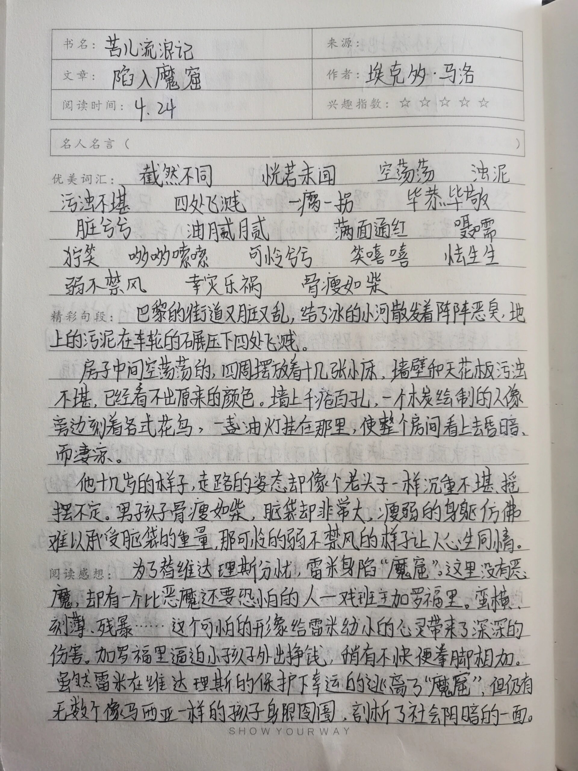 苦儿流浪记读书笔记第六章到第十章