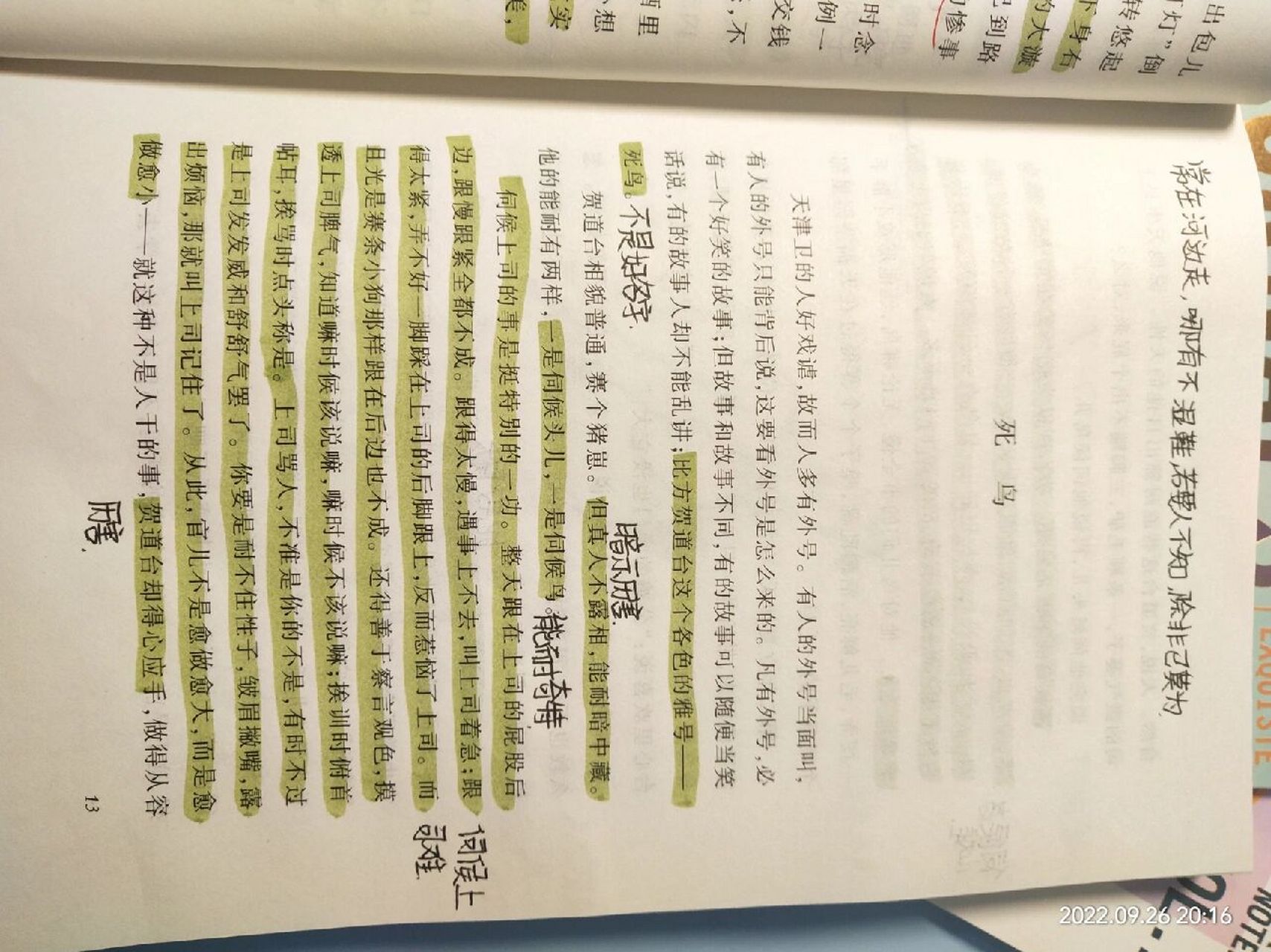 俗世奇人死鸟,张大力批注