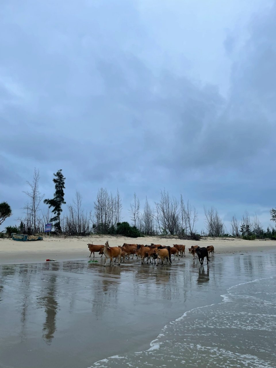 阳西沙扒湾旅游|打卡93网红景点大合集 99阳西沙扒湾相对于海陵岛
