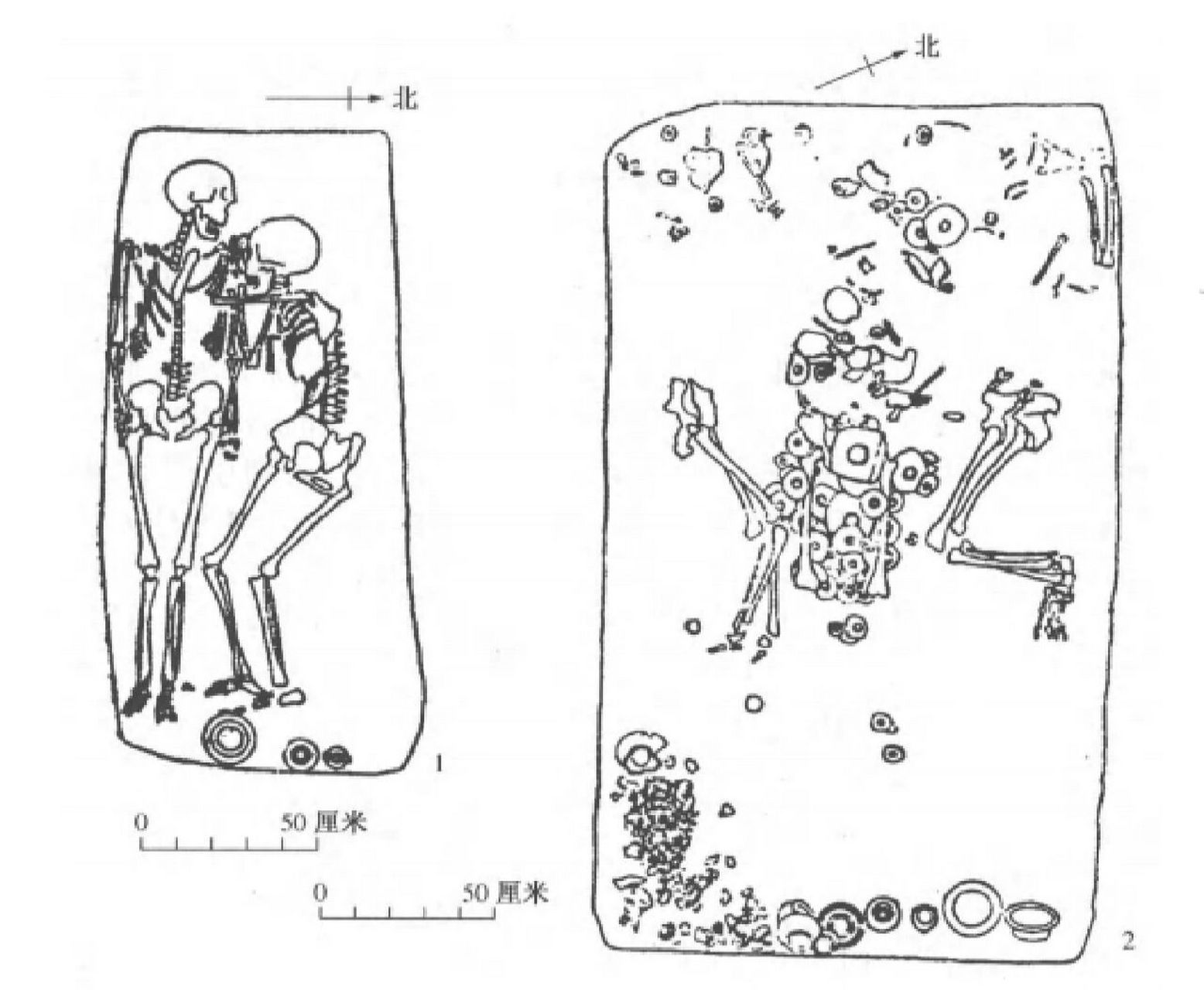 考古见证之女性成为男性的附庸 墓葬中男性仰身直肢,女性侧身曲肢,且
