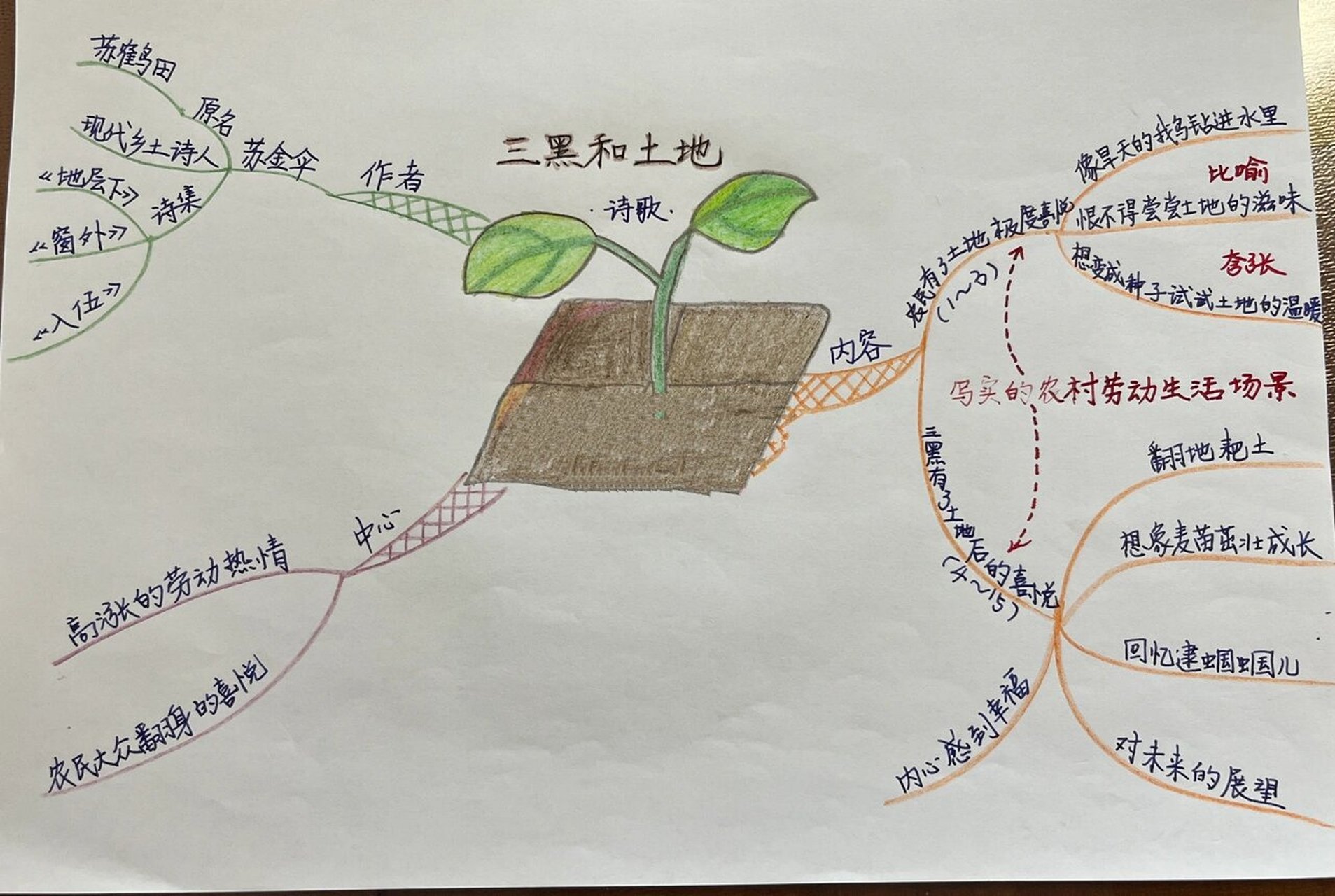 六年级上册语文第六单元思维导图