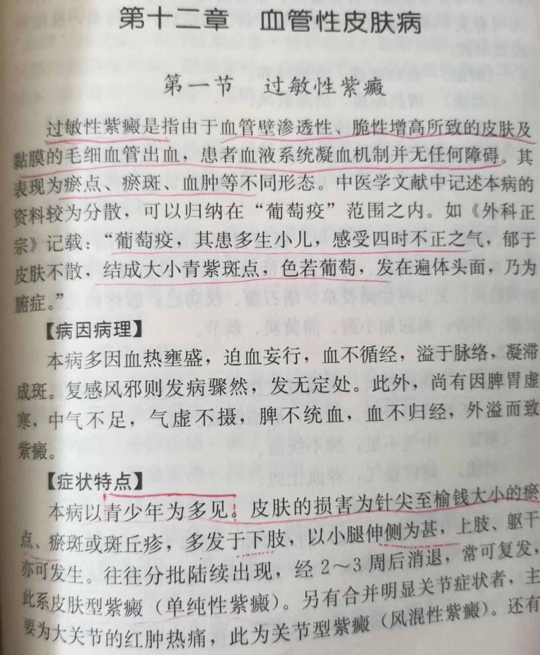 儿童紫癜怎么治图片