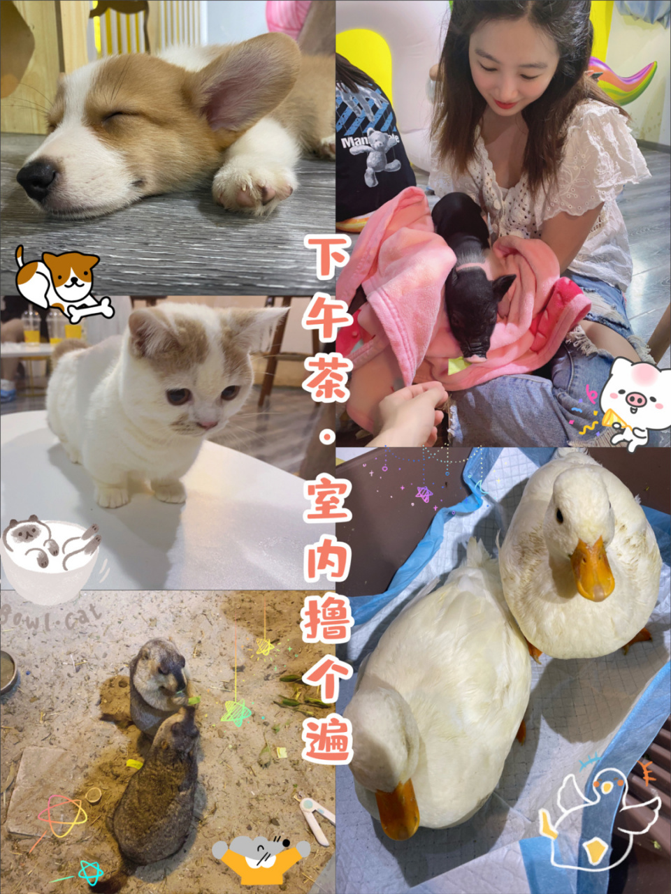 96南京探店|情人节首选治愈系室内动物园 夏日95逛街累了,去哪里