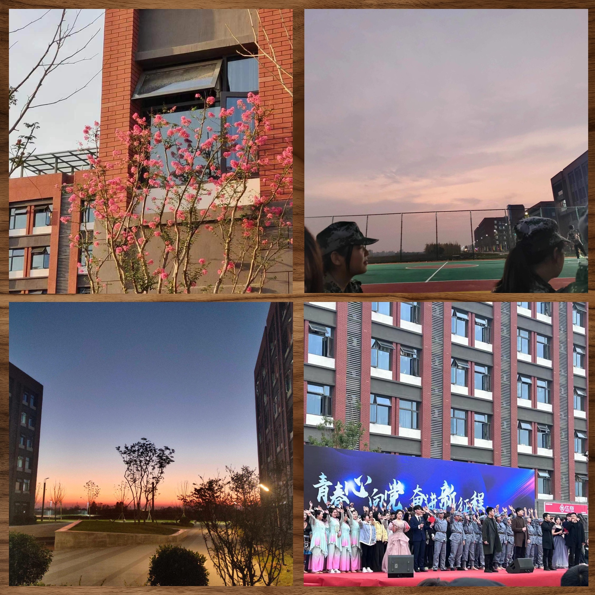 中澳科技职业学院新校区环境概览  告诉你们一个小秘密,这些美美的