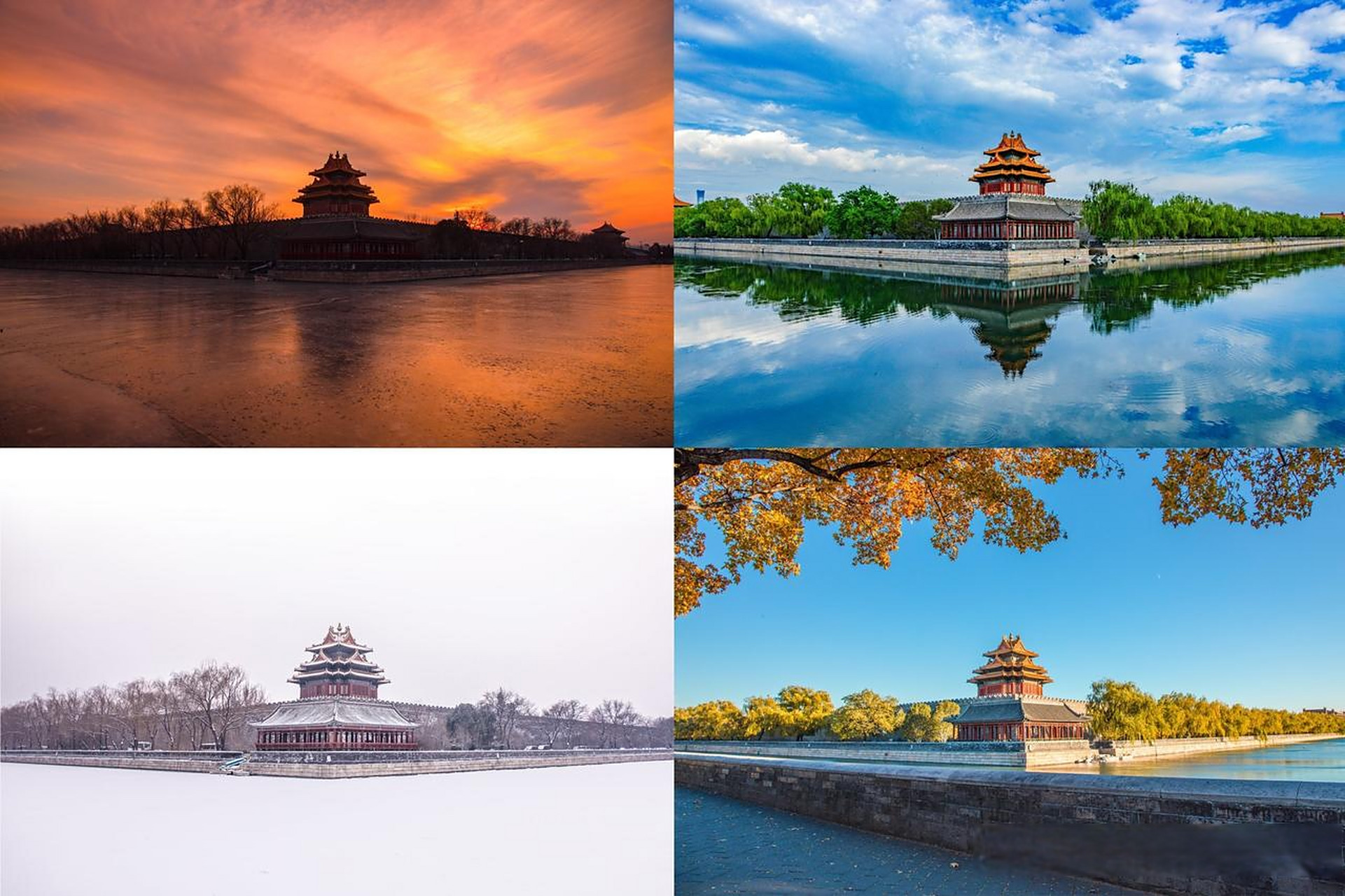 拍摄了故宫四季的风景,故宫角楼以其独特的建筑风格吸引了无数游客