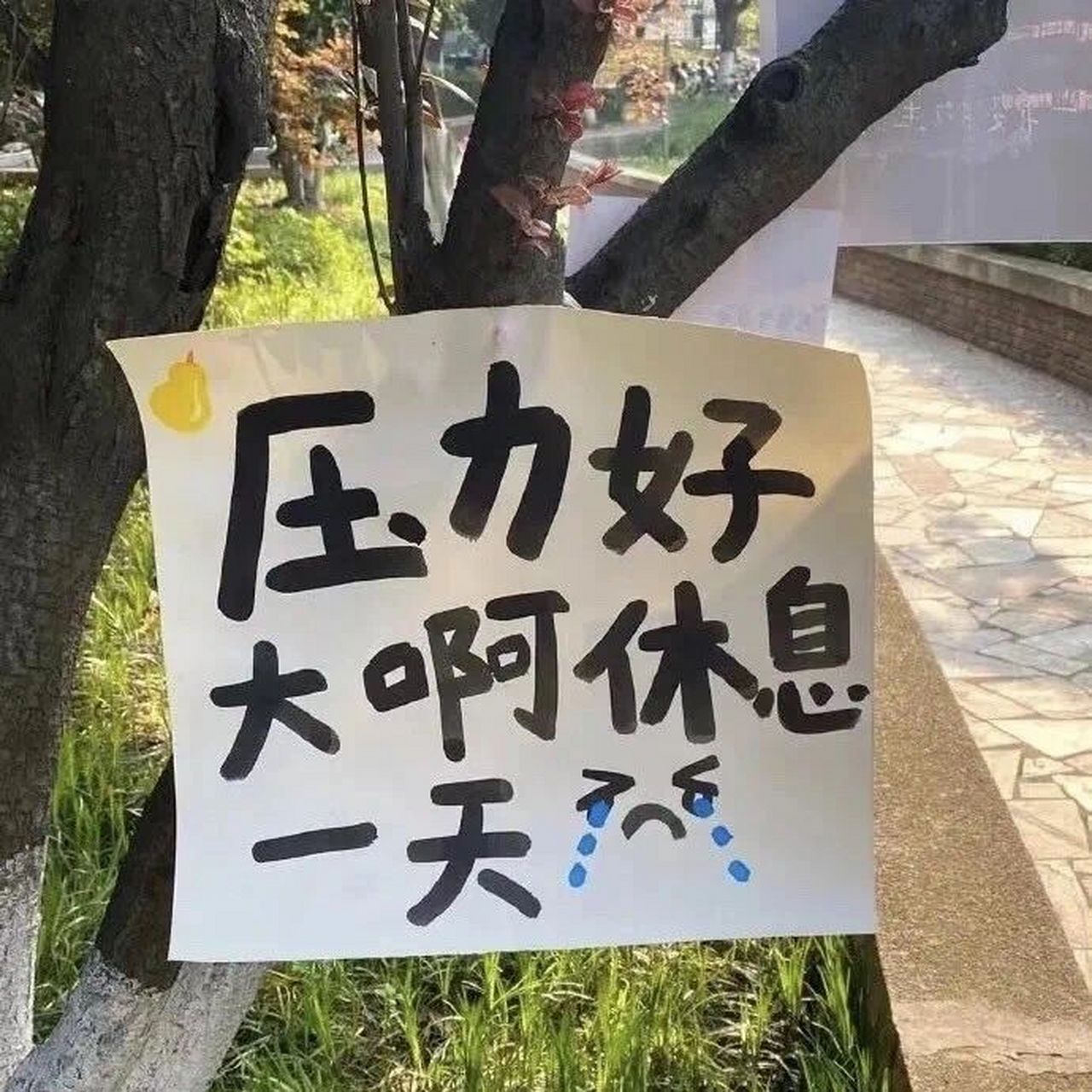 小众背景图|人这一生,自私很容易,爱自己却 小众背景图|人这一生,自私