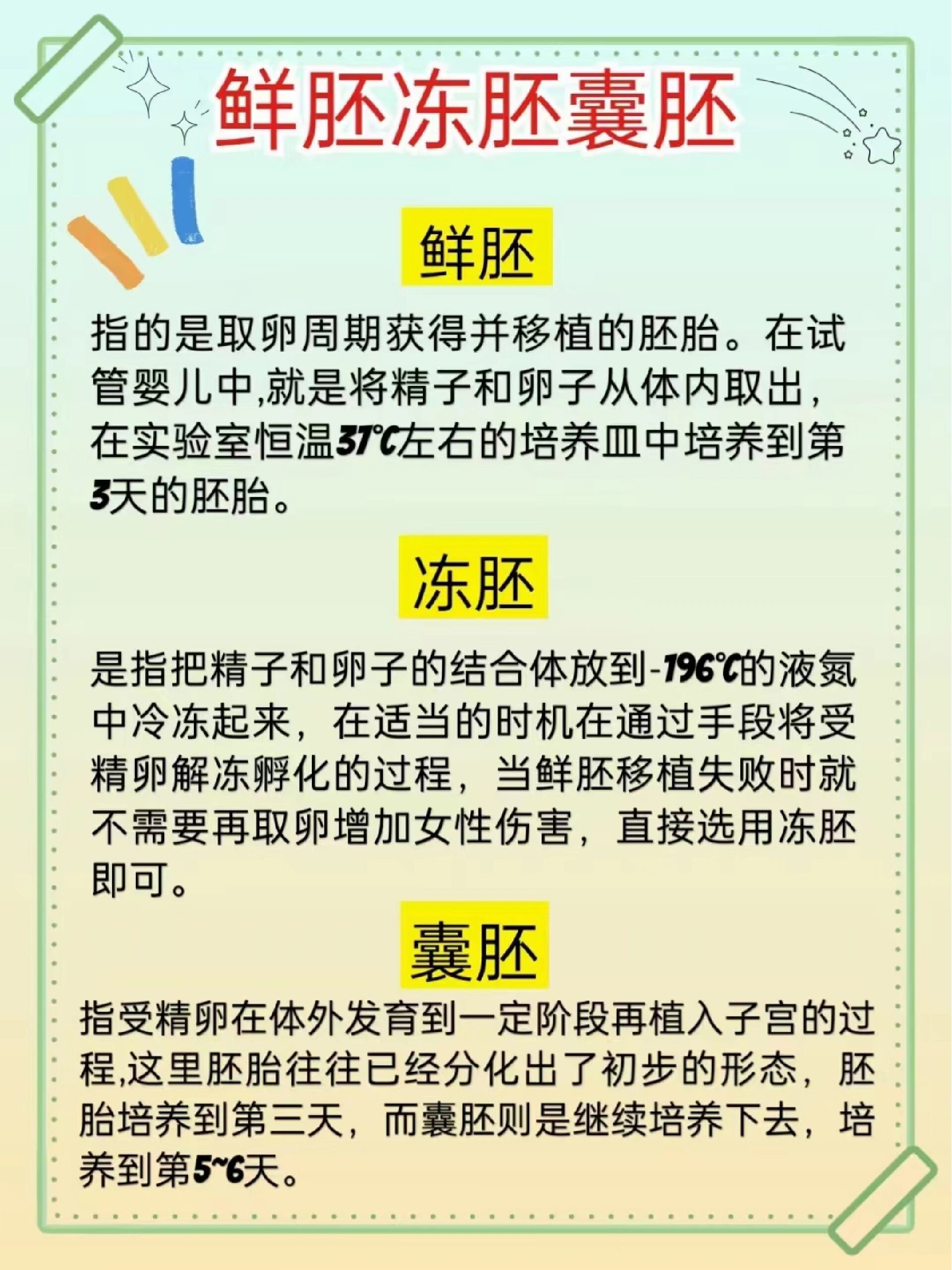 冻胚着床详细过程图片