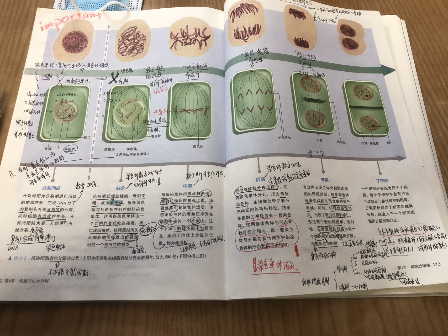 我爱生物! 又是卷死别人的一天  有问题可以问 超纲就不行