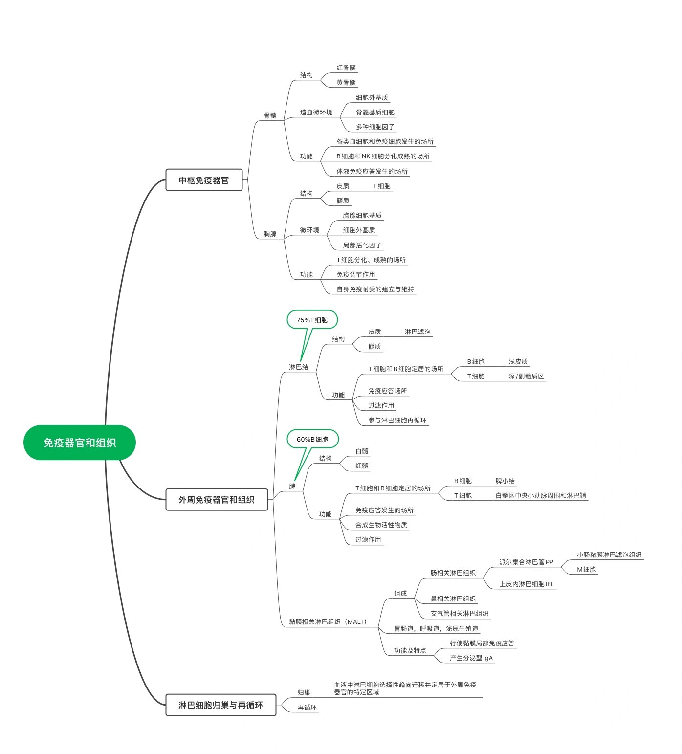 人体免疫系统思维导图图片