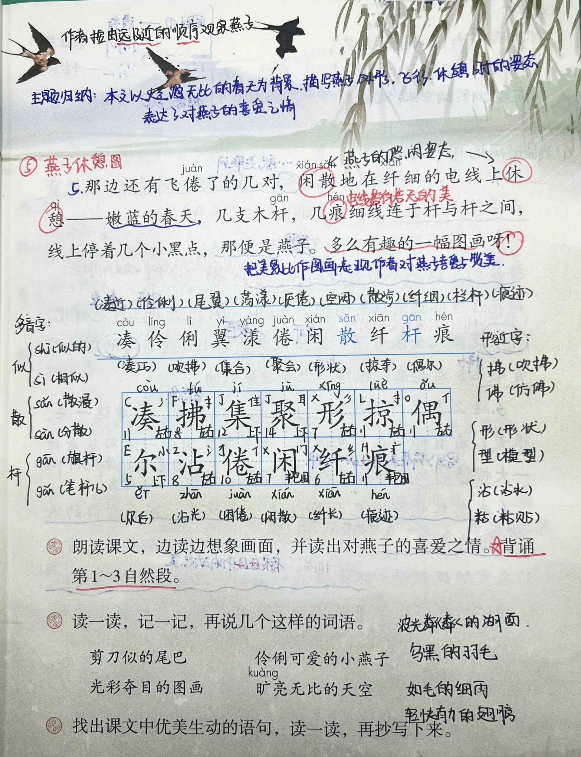 三年级下册二燕子生字图片