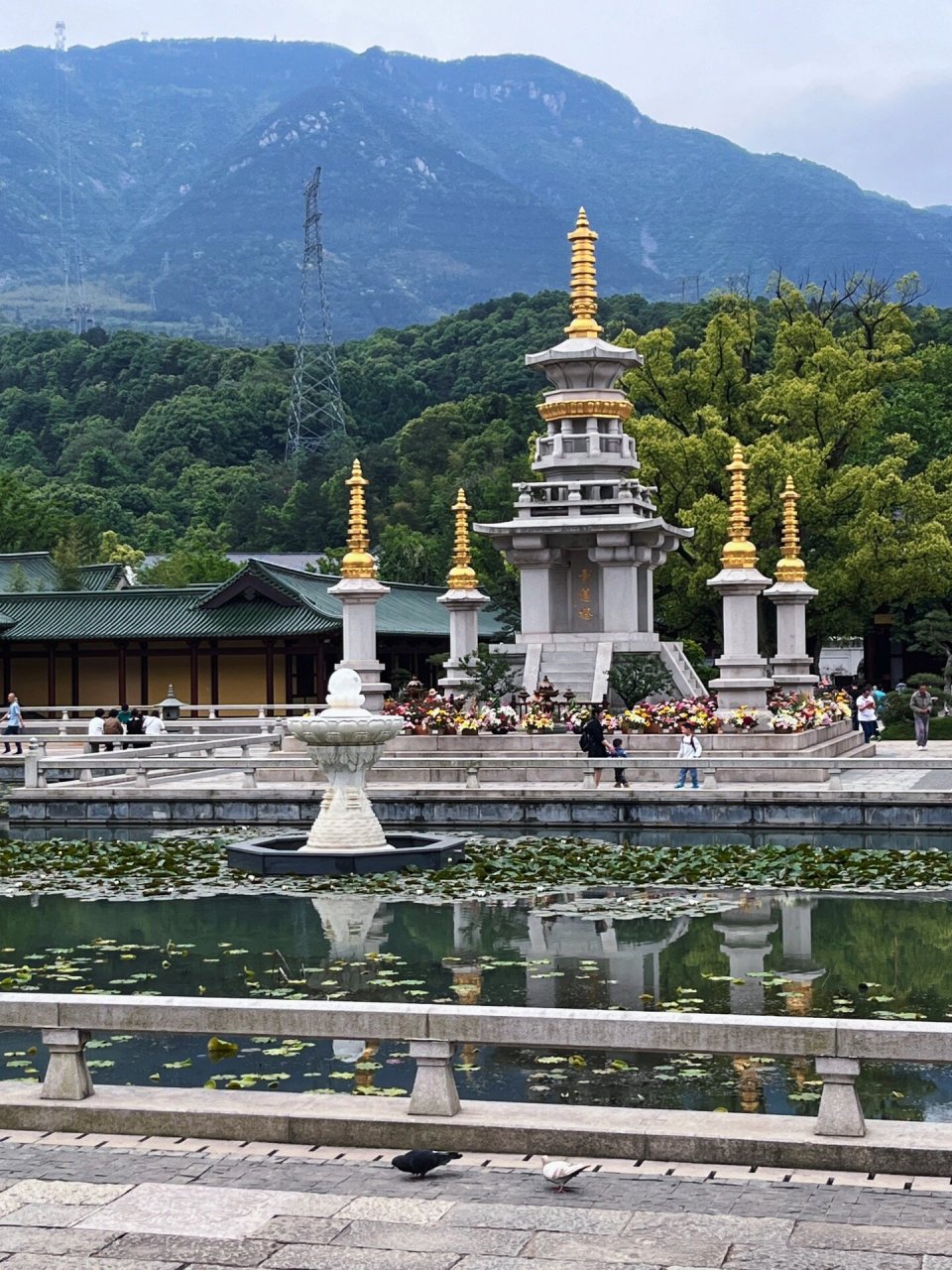 莲宗祖庭 庐山东林寺 很特别的一个寺庙,感觉有被治愈到05如果有