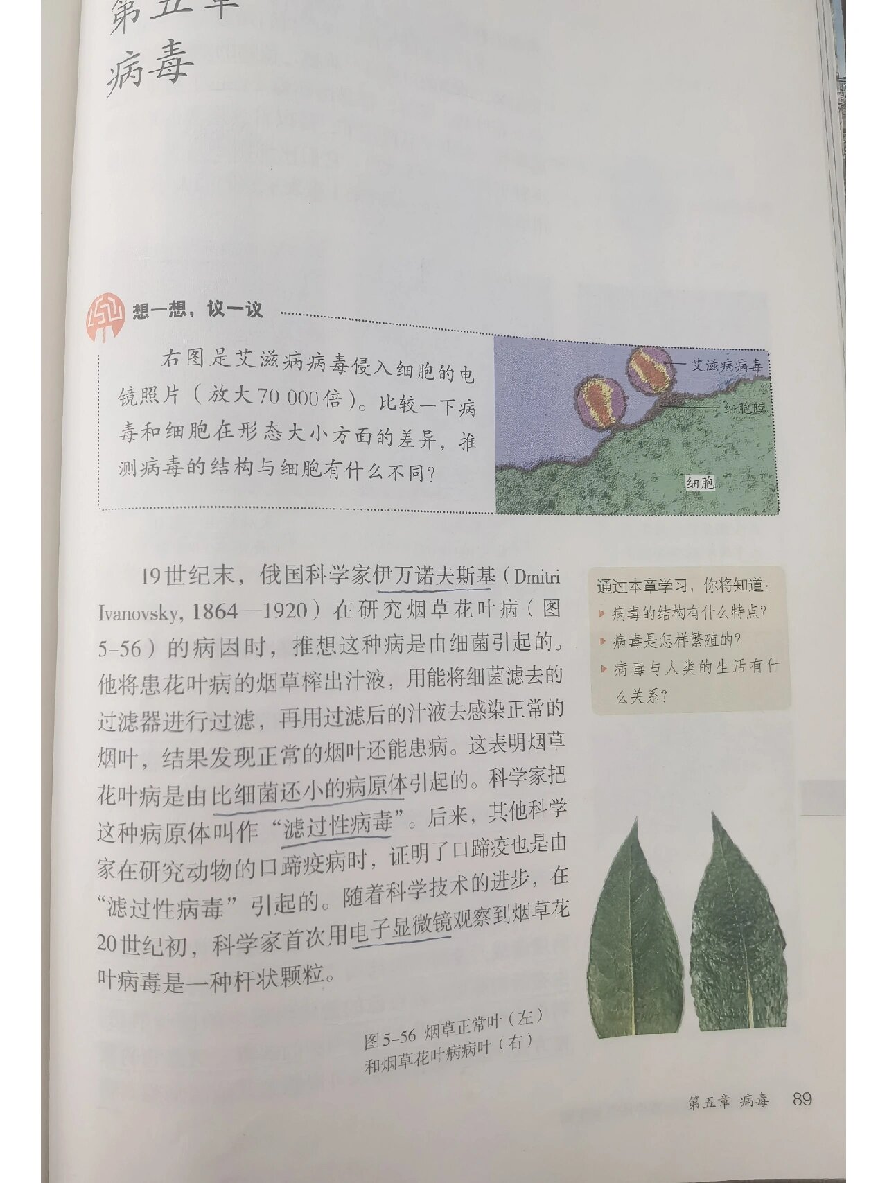 人教生物八上《病毒》笔记