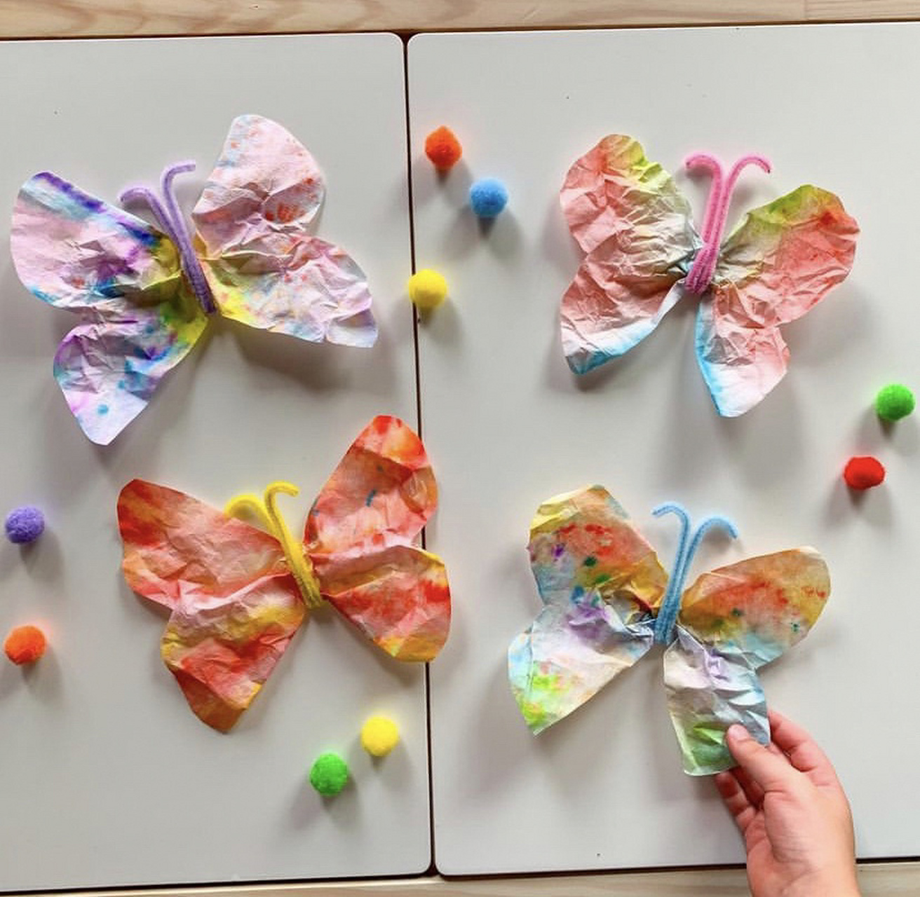 纸巾晕染小蝴蝶 材料:过滤纸巾(或厨房纸巾),水彩笔,扭扭棒,小滴管