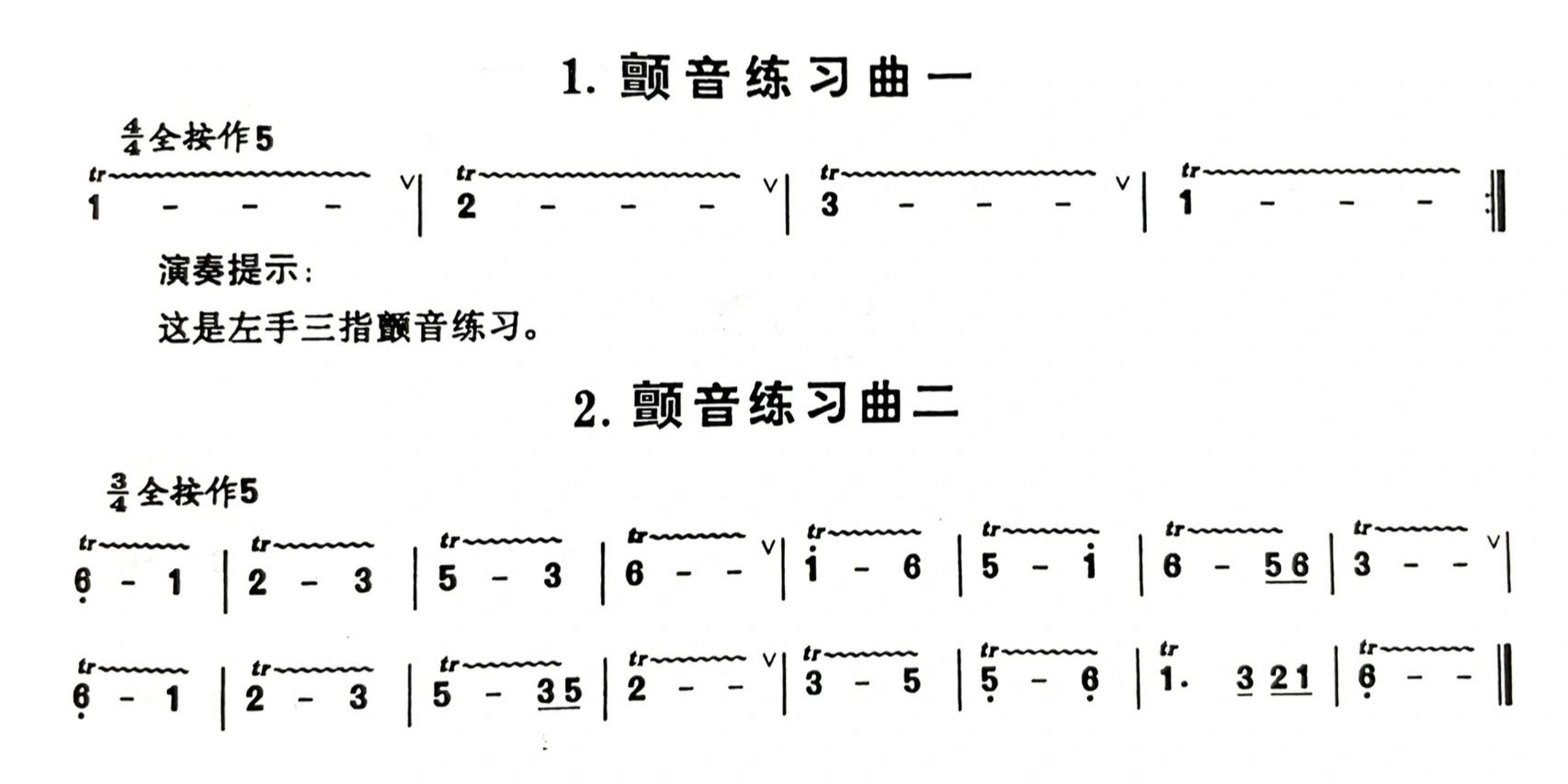 笛子颤音9915法来咯!