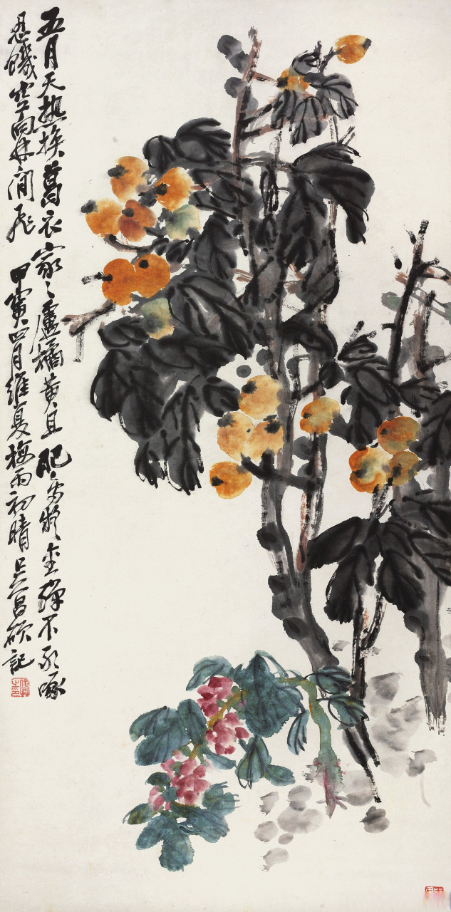 画家吴昌硕笔下的枇杷