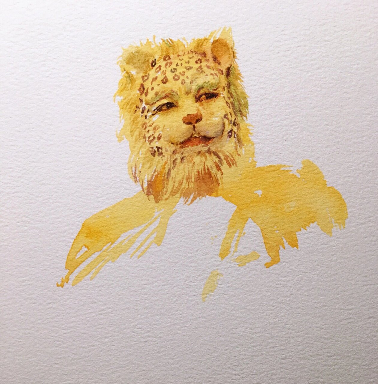 来画个水彩版的金钱豹头像～速涂练习步骤