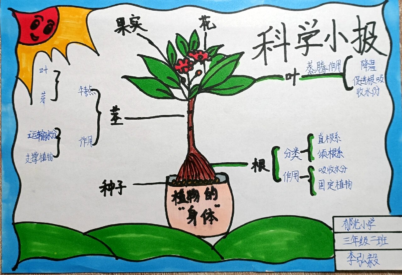 科学手抄报步骤图片