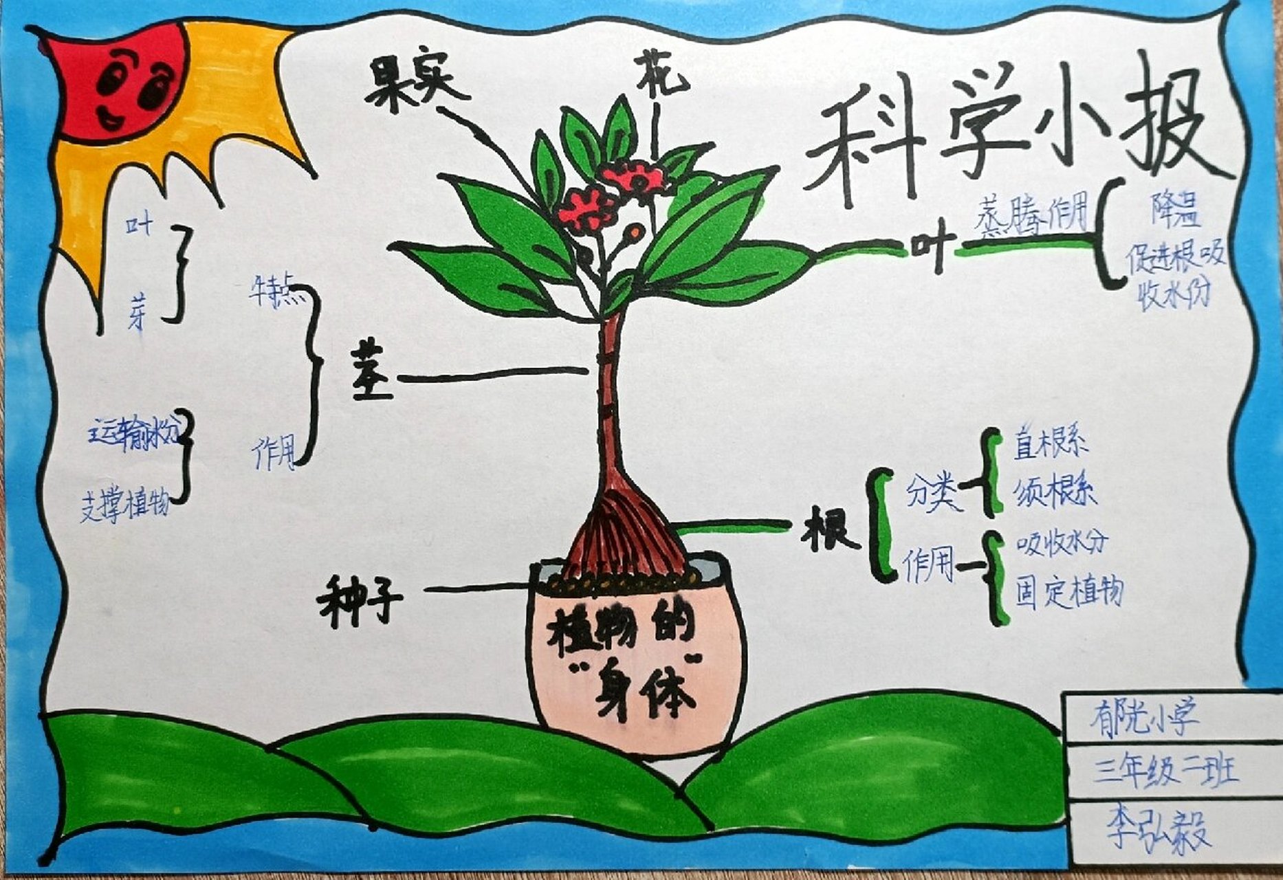 三年级科学手抄报字少图片