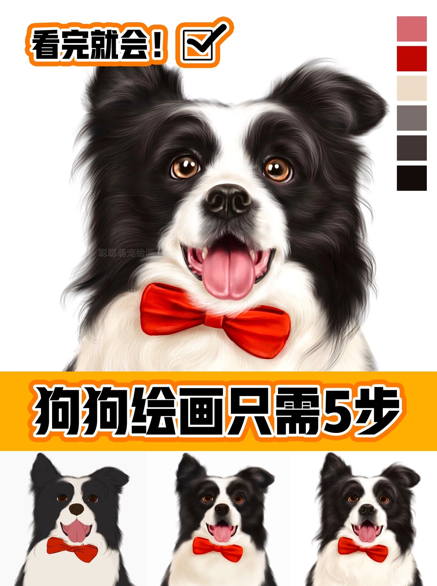 边境牧羊犬的简笔画图片