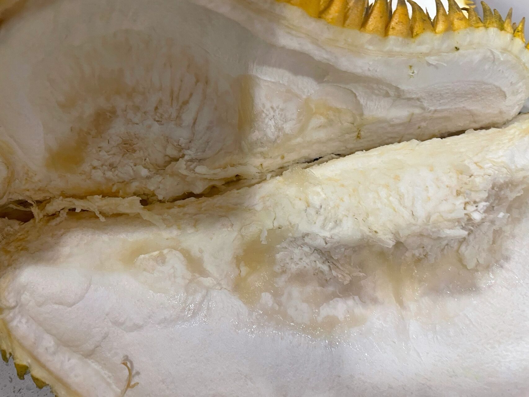 这样的榴莲是坏了吗? 这样的榴莲是坏了吗?