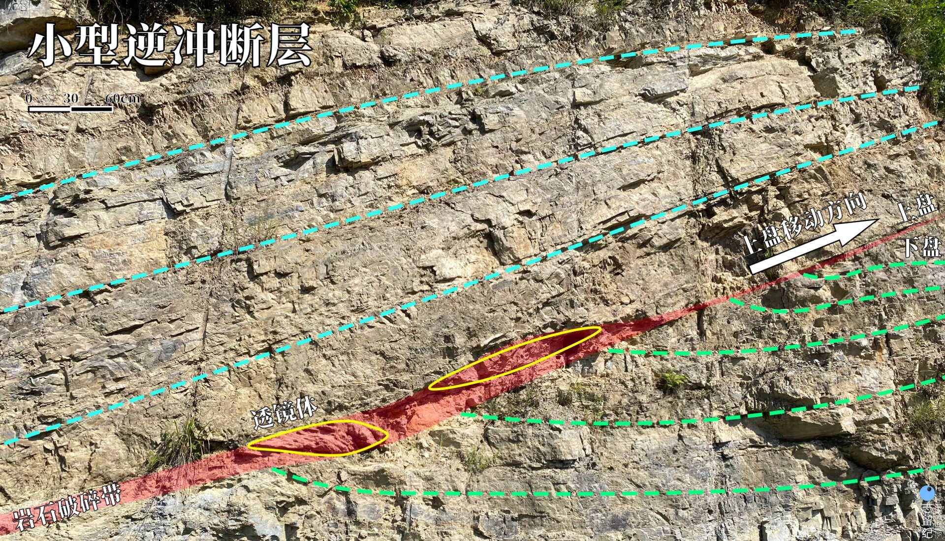 逆冲断层属于一种逆断层