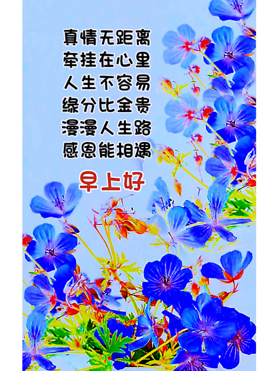 早安祝福语 真情无距离 牵挂在心里 人生不容易 缘分比金贵 漫漫人生