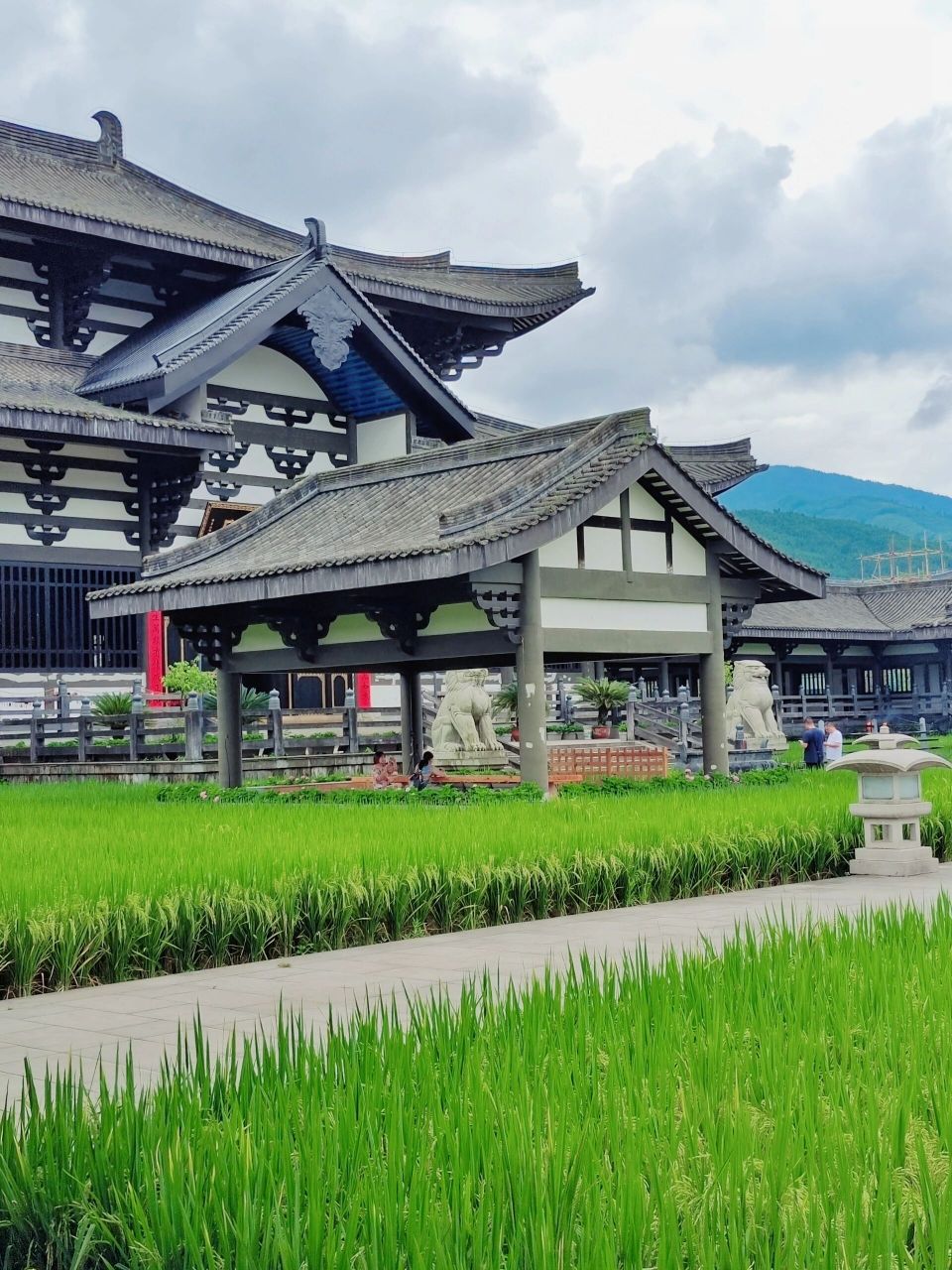 这里不是京都 是成都周边的光明寺7575 如果不是亲眼所见 我都不