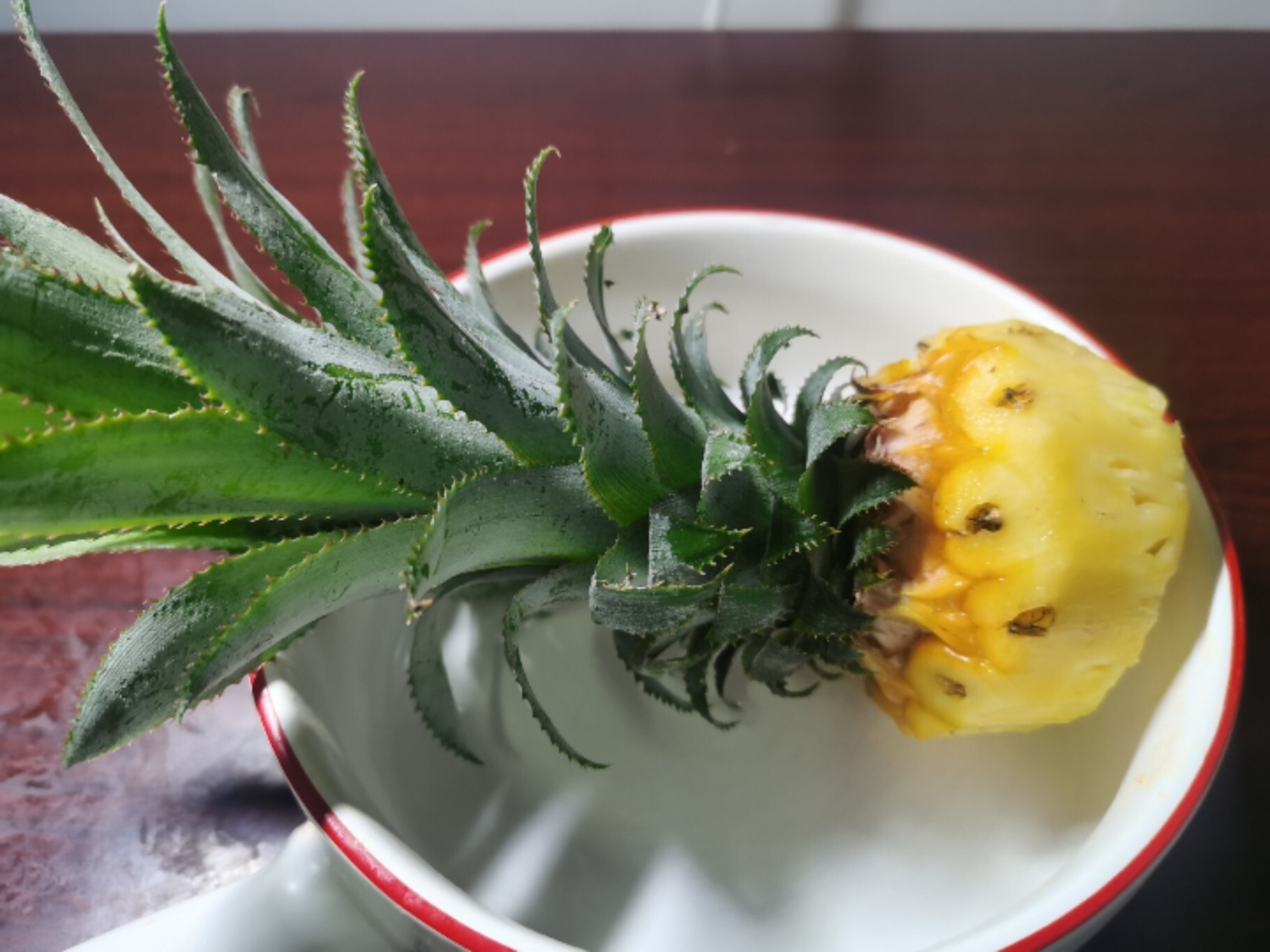 创意水果拼盘——菠萝凤凰! 1.将菠萝切成两半,上面一半切小一点. 2.