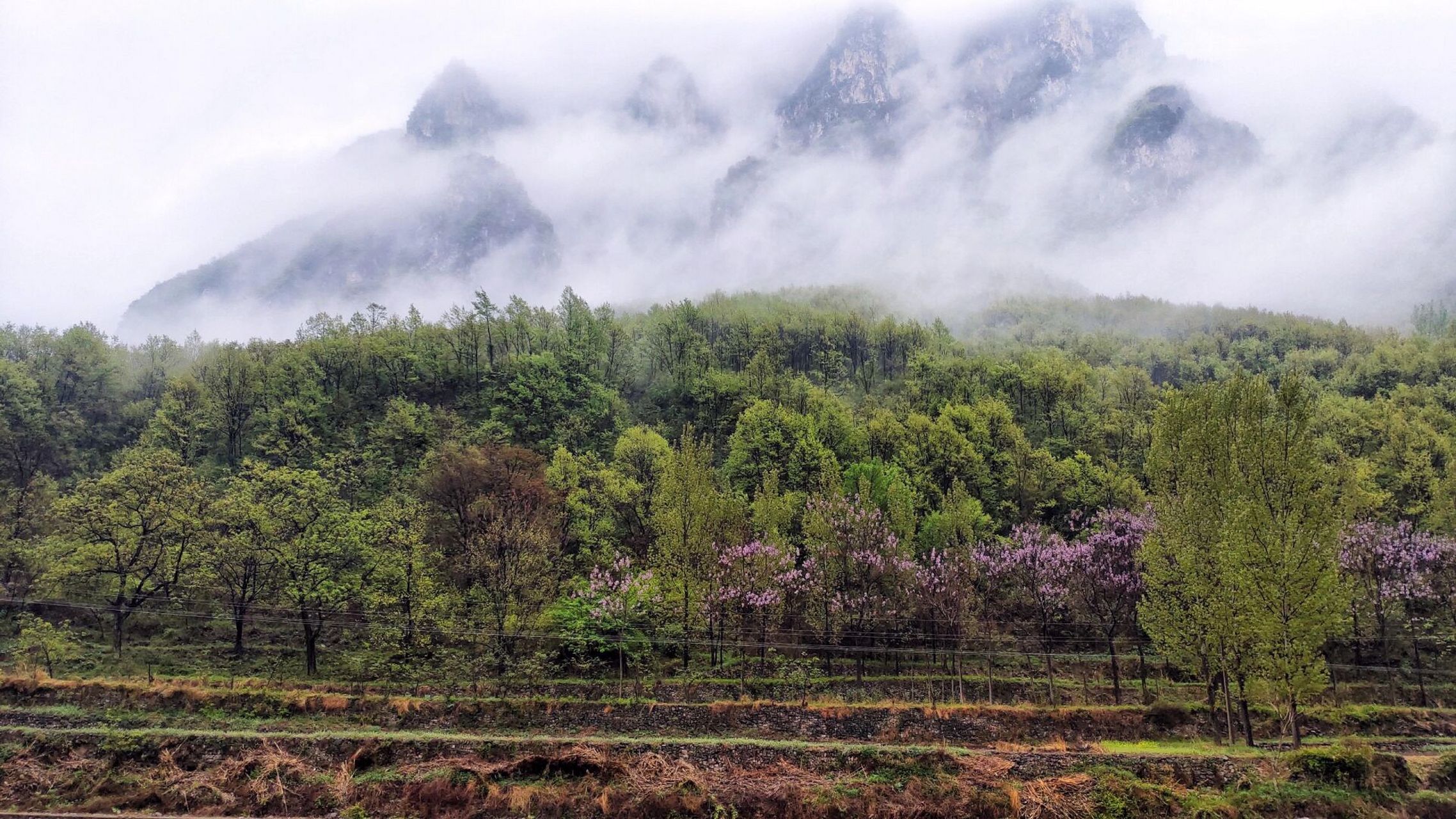 红豆杉大峡谷 山西省是一个拥有丰富自然风景资源的地方,其中最令人