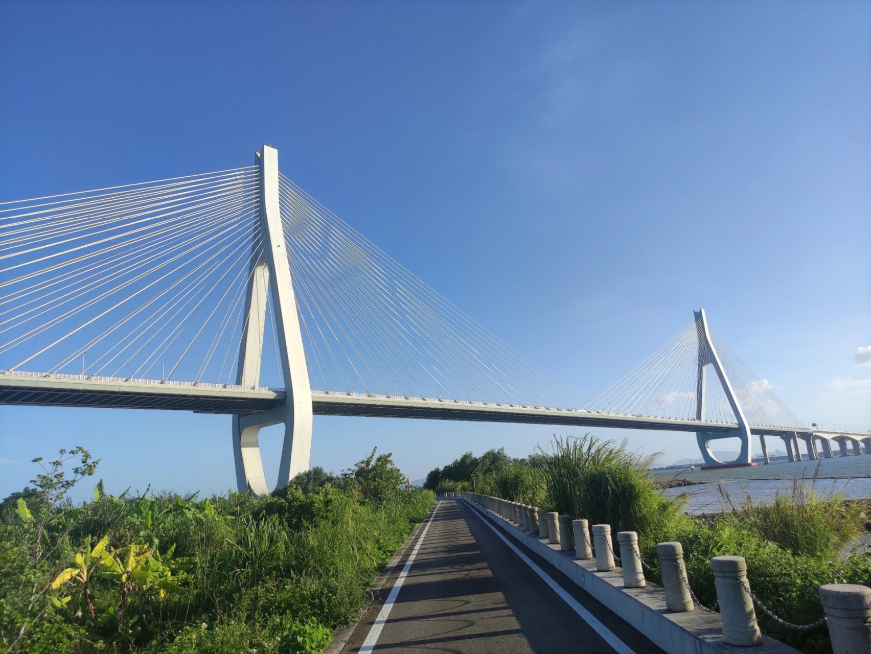 珠海横琴滨海湿地公园 周末约了家人一起去横琴区的滨海湿地公园骑
