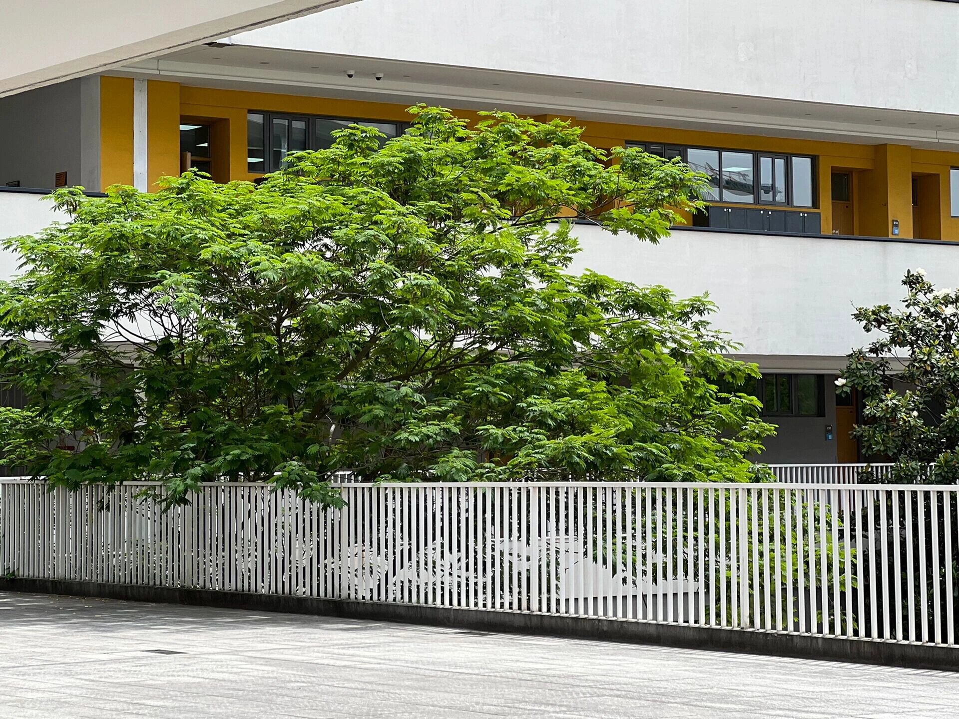 宁波赫威斯肯特学校你了解多少71