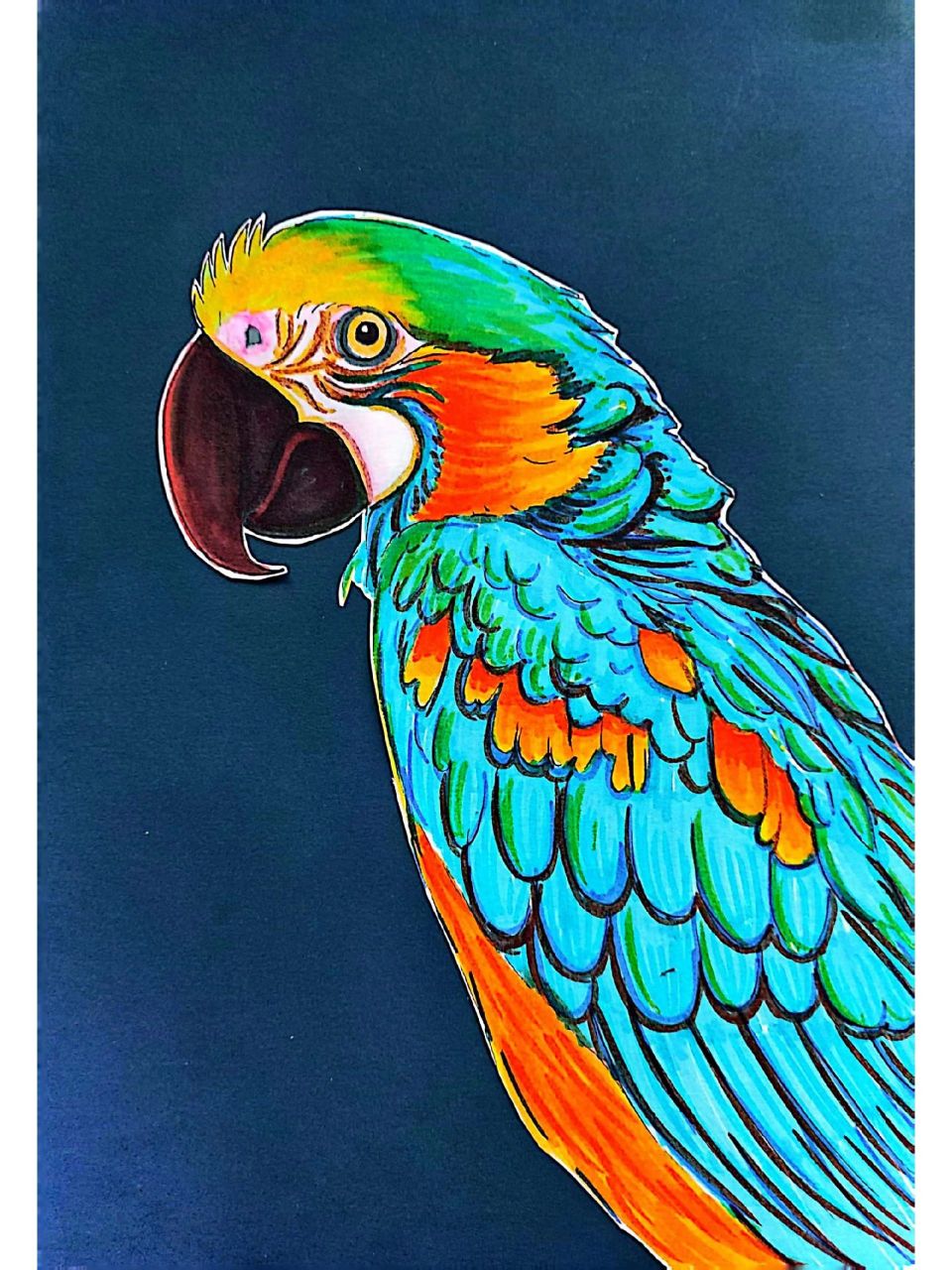 创意美术课程儿童画ppt鹦鹉