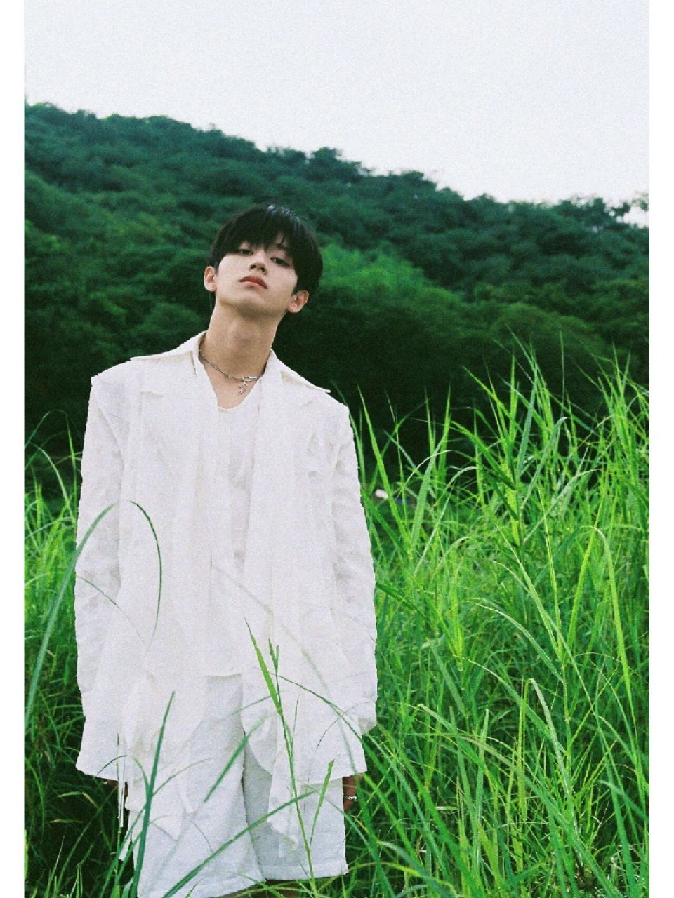 朱志鑫最新写真鲨疯了 白发鲨疯了!朱志鑫!