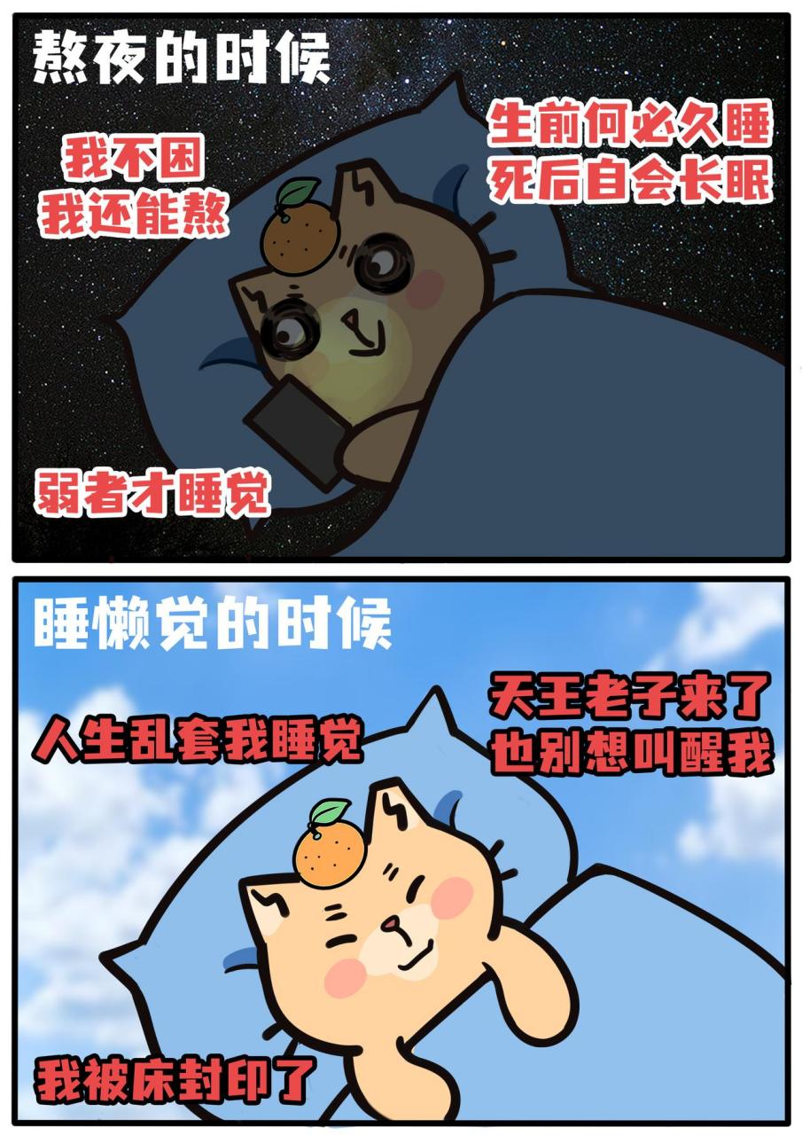 我没有熬夜,我只是在错峰睡觉~ 每天在夜猫子和睡教信徒之间切换.