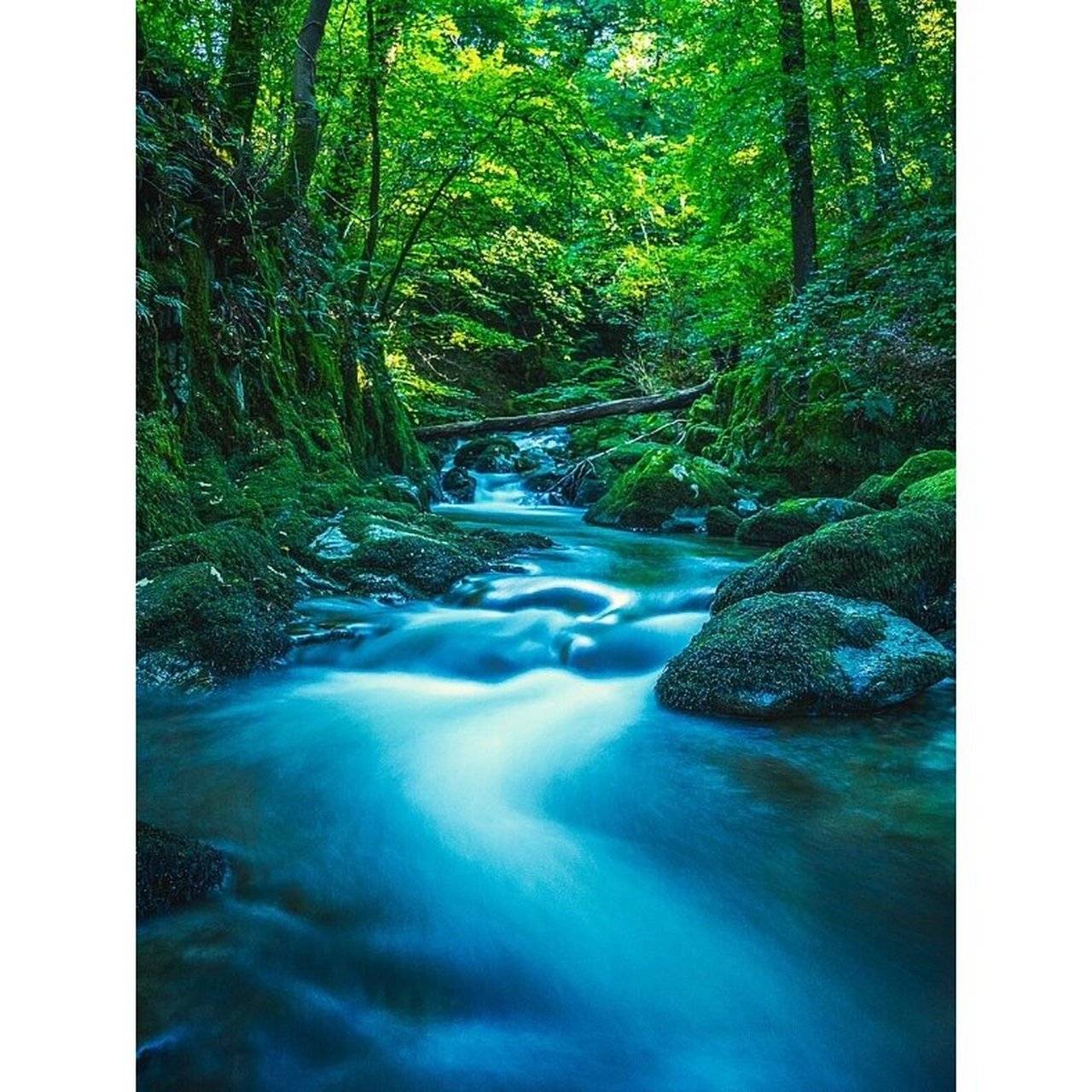 水木相生「男女头像背景图」